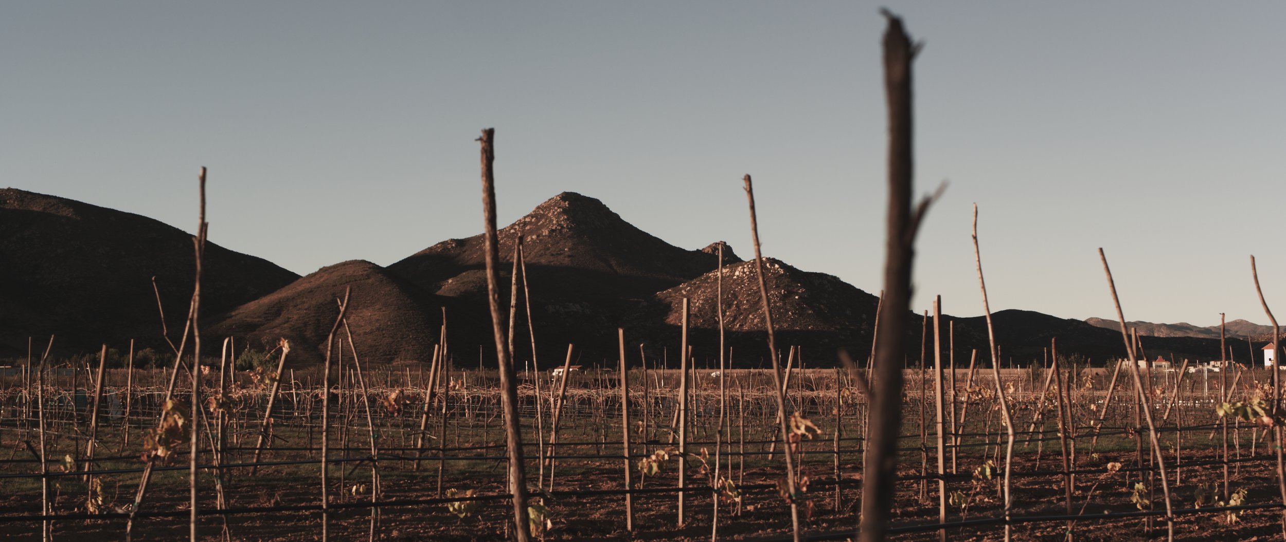 Dylan Verrechia Kumiai RED EPIC-X.jpg