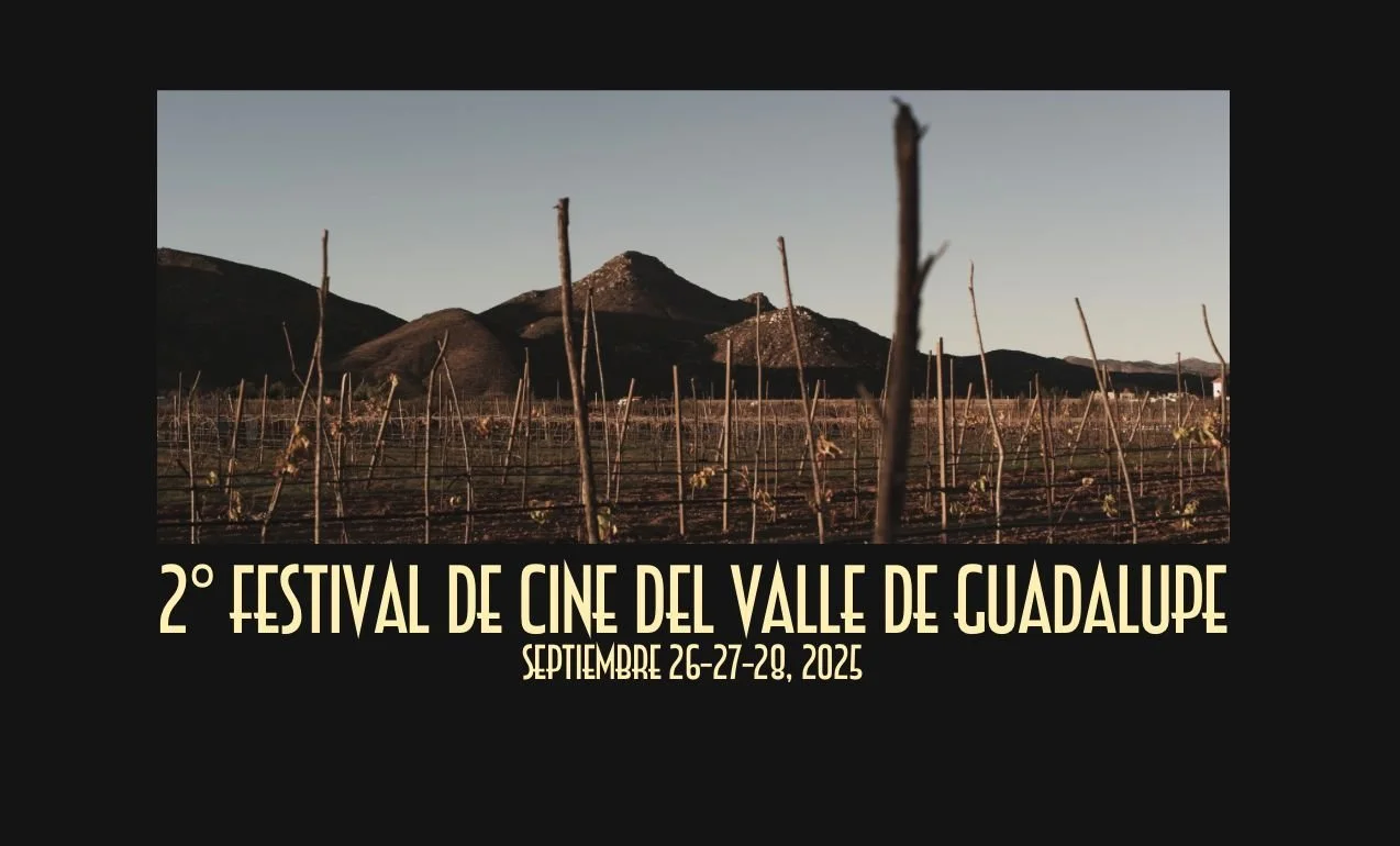 FCVG 2025 Festival de Cine del Valle de Guadalupe T-ShirtPHOTO-2025-07-28-13-32-41.jpg