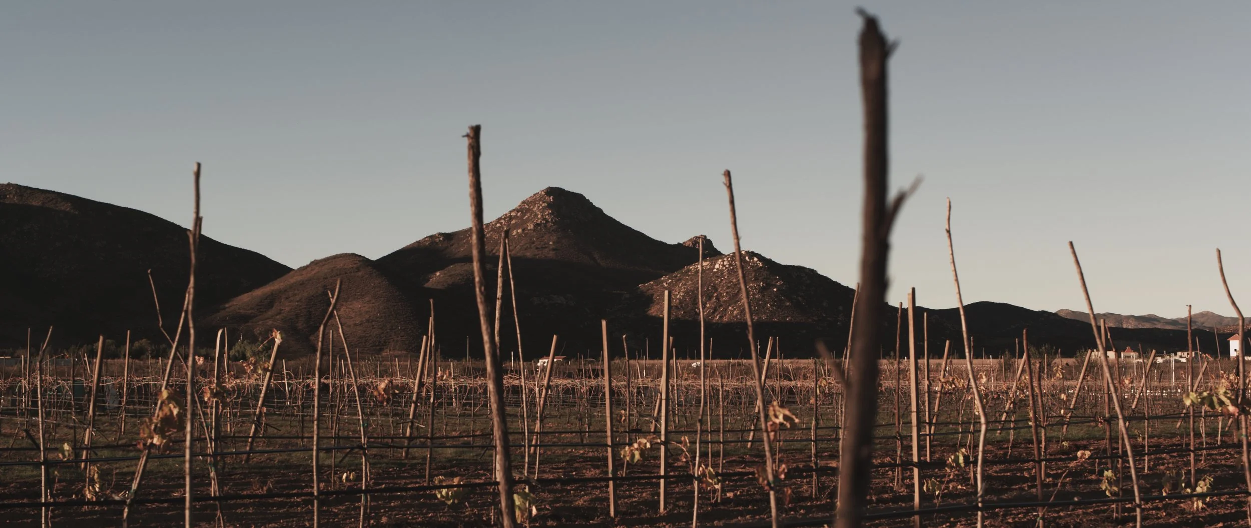 Dylan Verrechia Kumiai RED EPIC-X.jpg