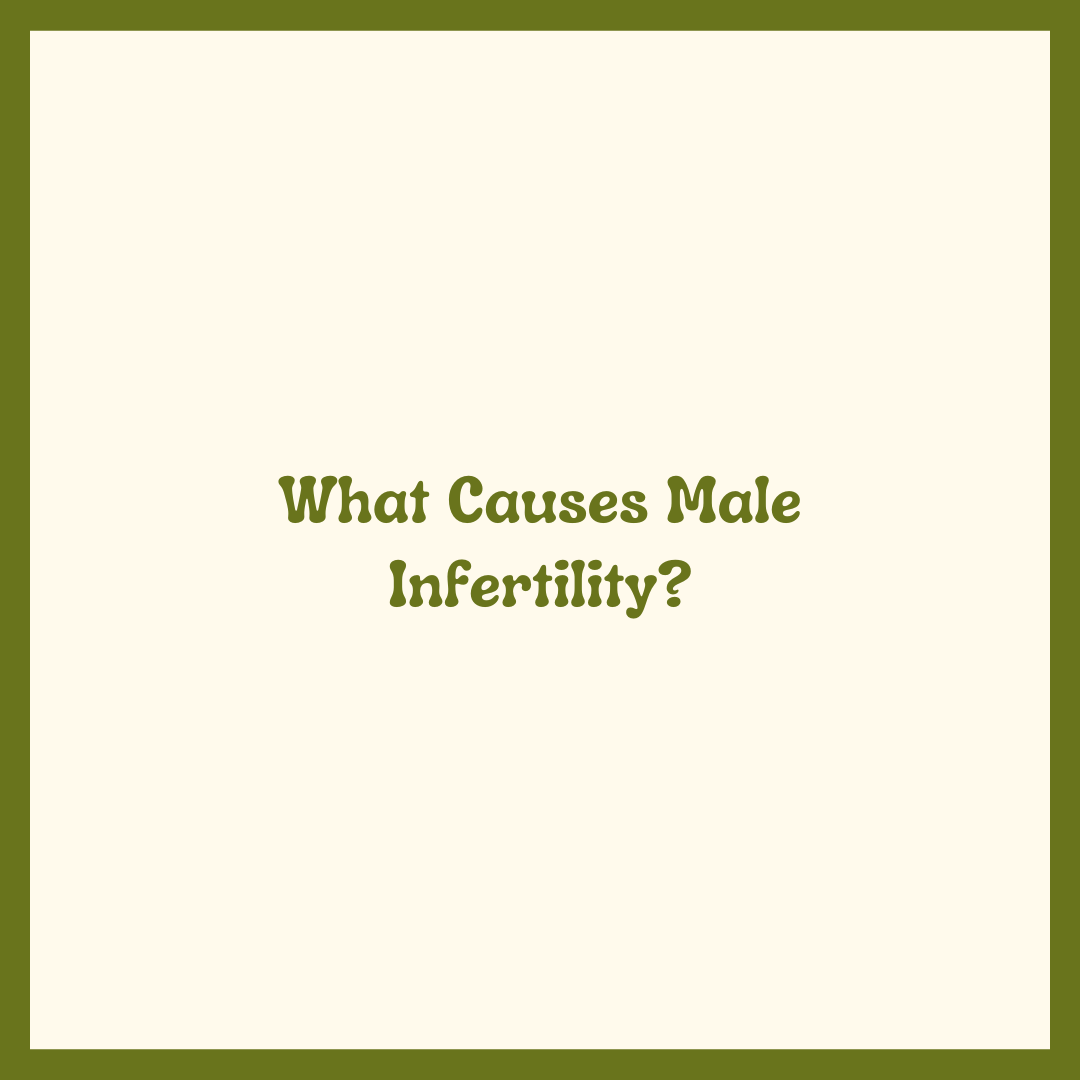What Causes Male Infertility?