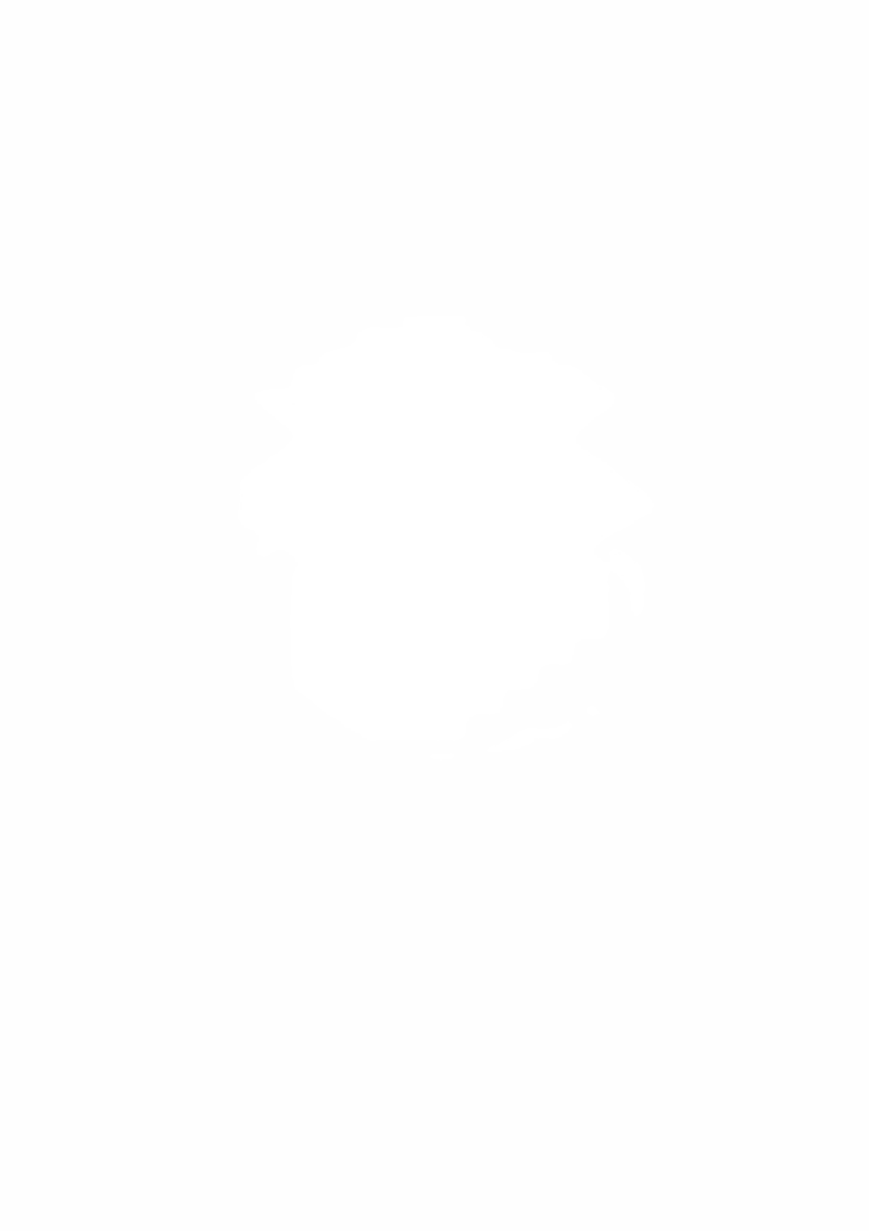 The image is completely white with no distinguishable objects or features.