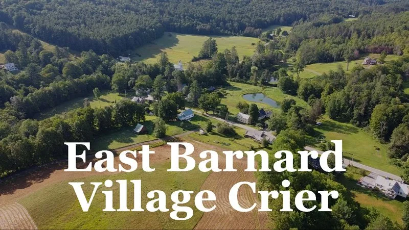 Aerial view of rural farmland and houses in East Barnard Village with fields, trees, and a pond