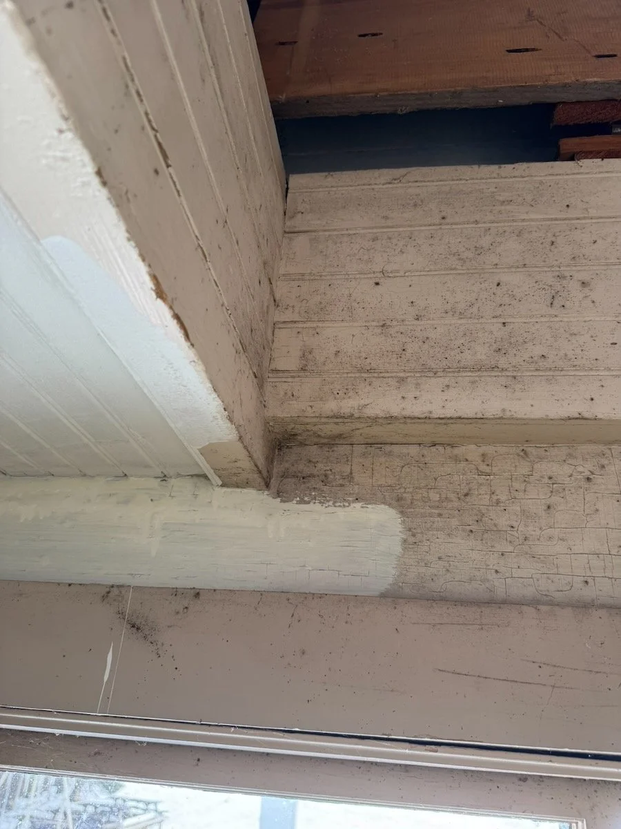 Close-up view of a corner where the ceiling, wall, and floor meet, showing aged and dirty wooden surfaces with visible dust and debris.