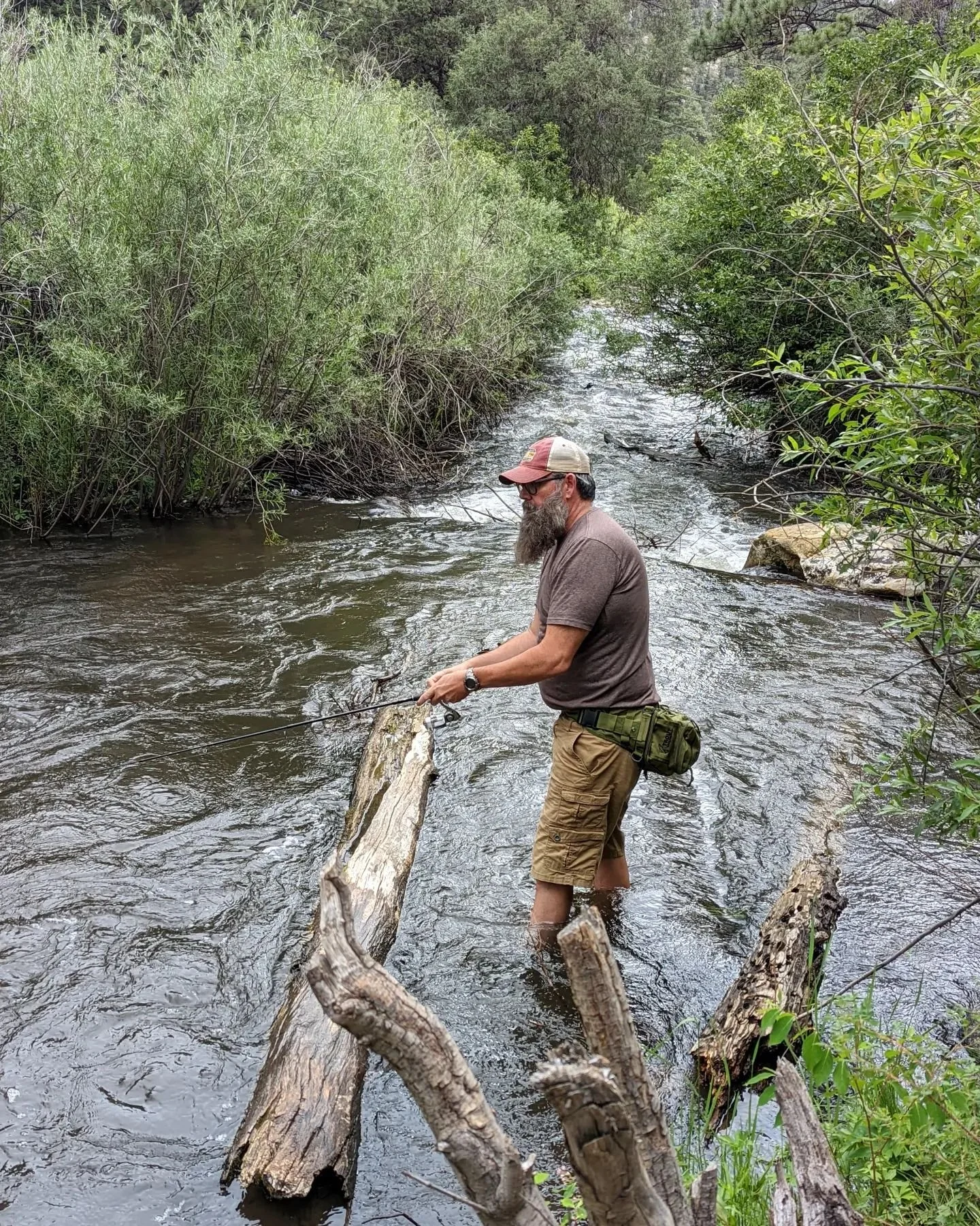 A man with a beard, wearing a baseball cap, glasses, a gray T-shirt, and tan shorts, stands in a shallow river and fishes with a rod. Surrounding greenery and fallen logs are visible.