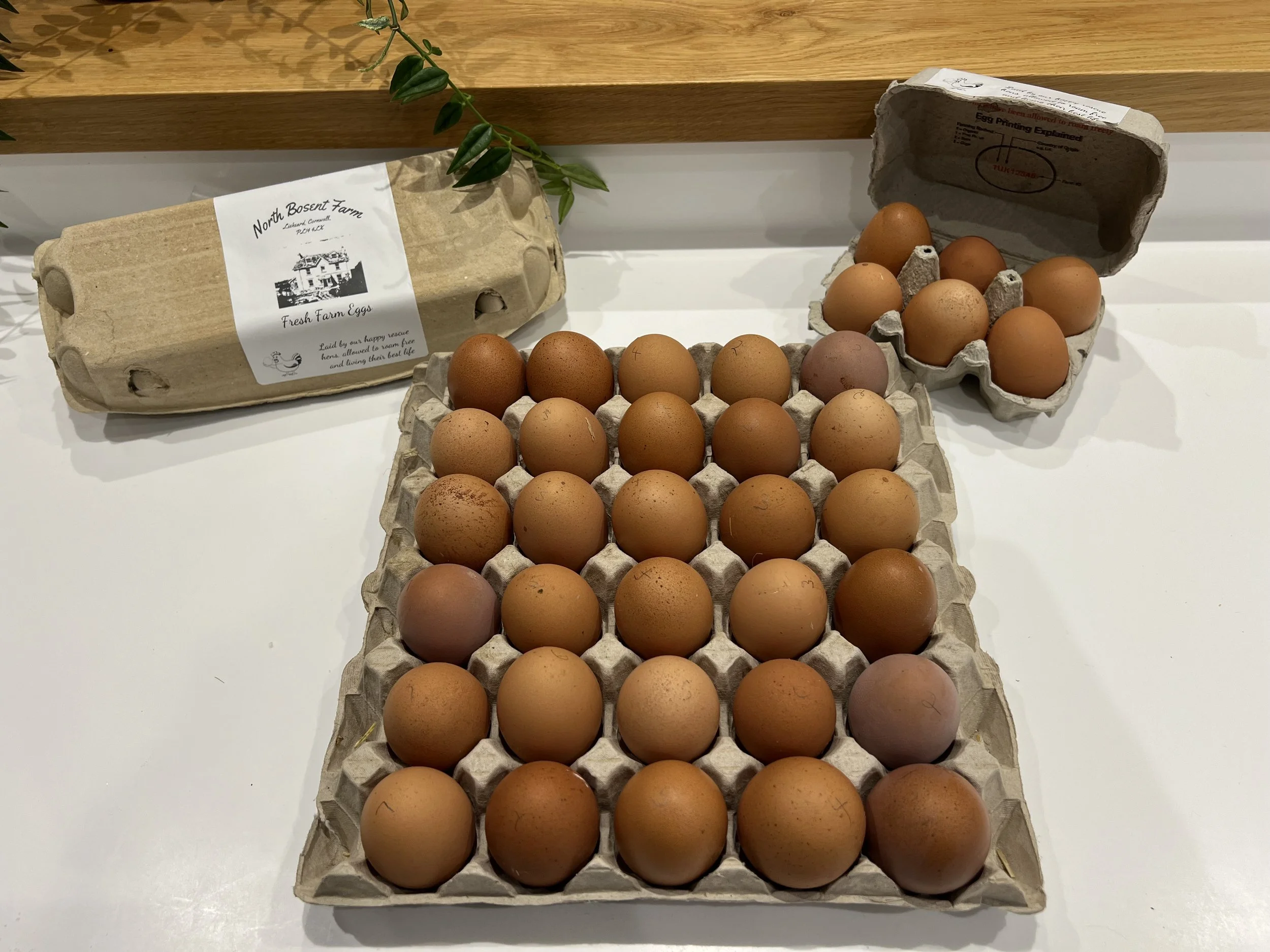 Eggs