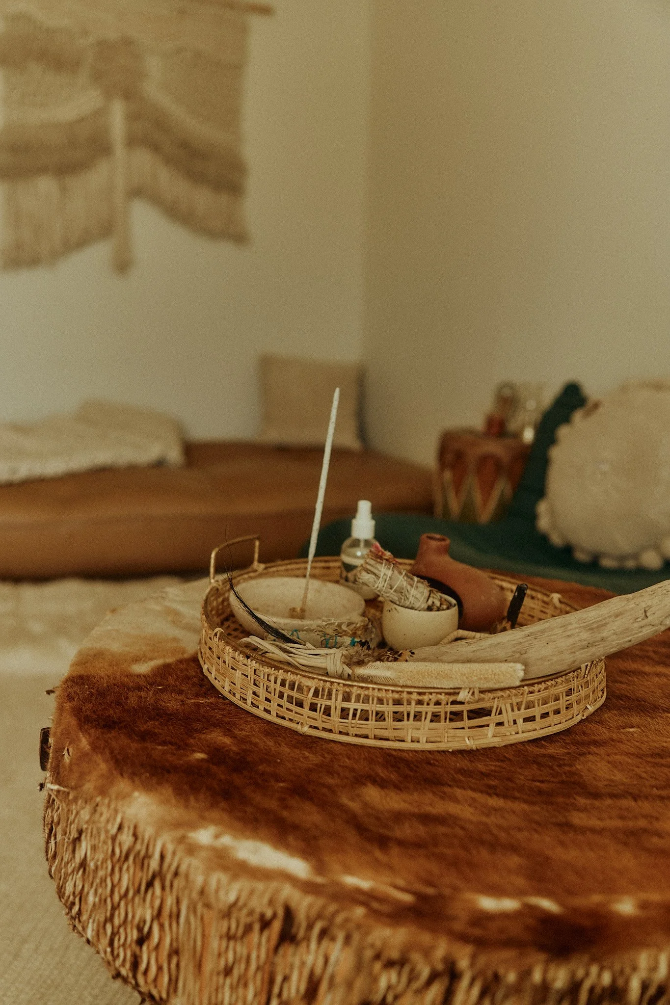 Close-up of a wicker tray containing a white straw repurposed as a plant stake, small ceramic pots with plants, and other miscellaneous items, placed on a furry brown surface in a cozy room with beds and beige walls.
