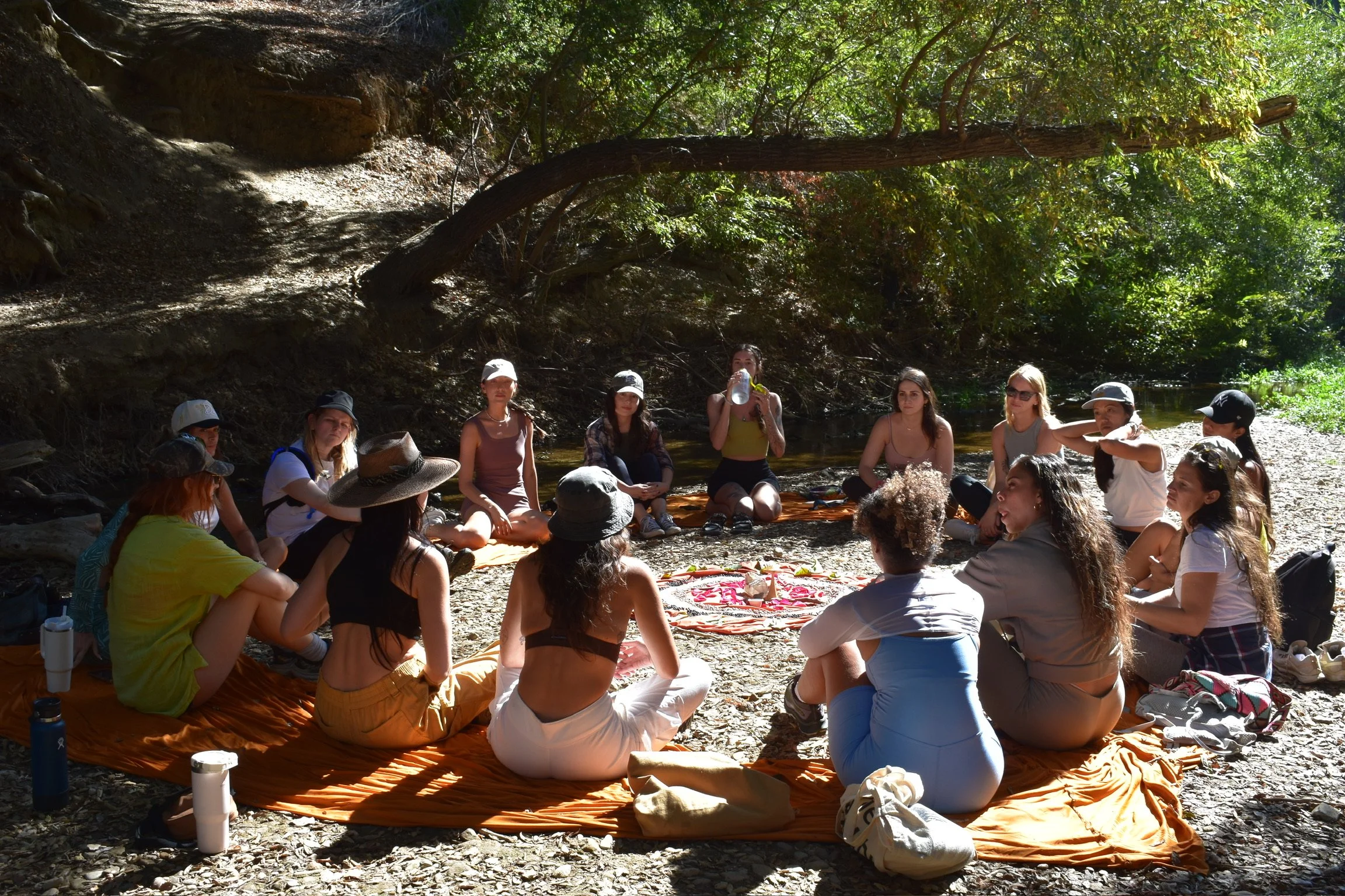 A group of people sitting in a circle outdoors in a forested area, participating in a group activity or meditation by a small creek, with trees and sunlight filtering through the leaves.