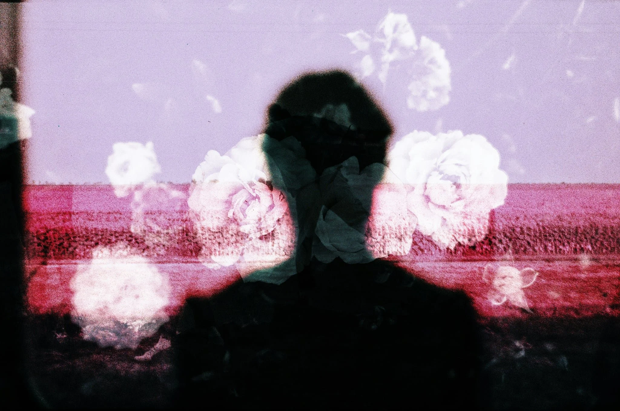 Méditation dans Zen découverte, courte Retour à soi instantané pour se recentrer rapidement, retrouver son axe, son équilibre et son harmonie intérieure, illustrée par l’ombre d’une personne entourée de fleurs en gros plan sur un champ de blé rosé.