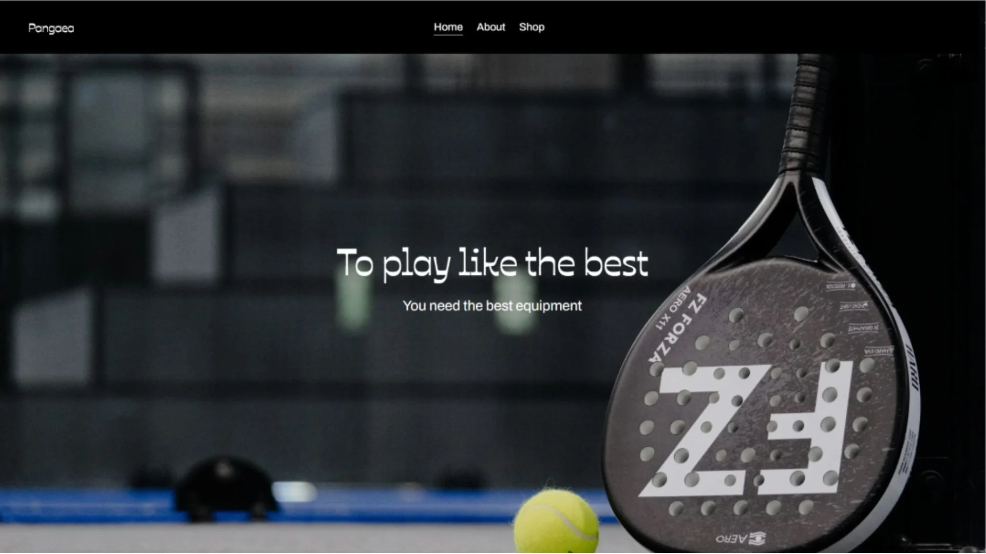 The landing page header