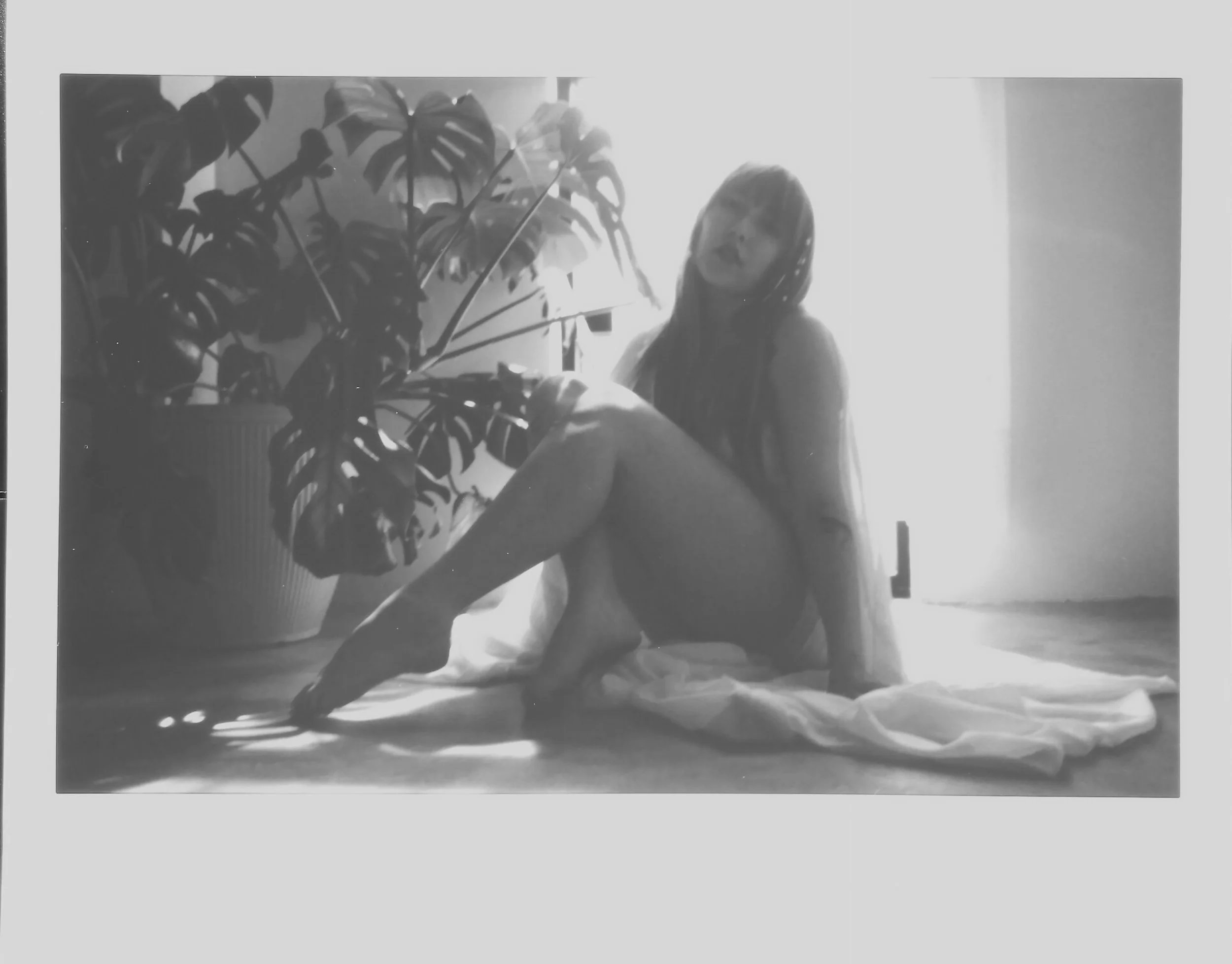 IMAG0156.JPG