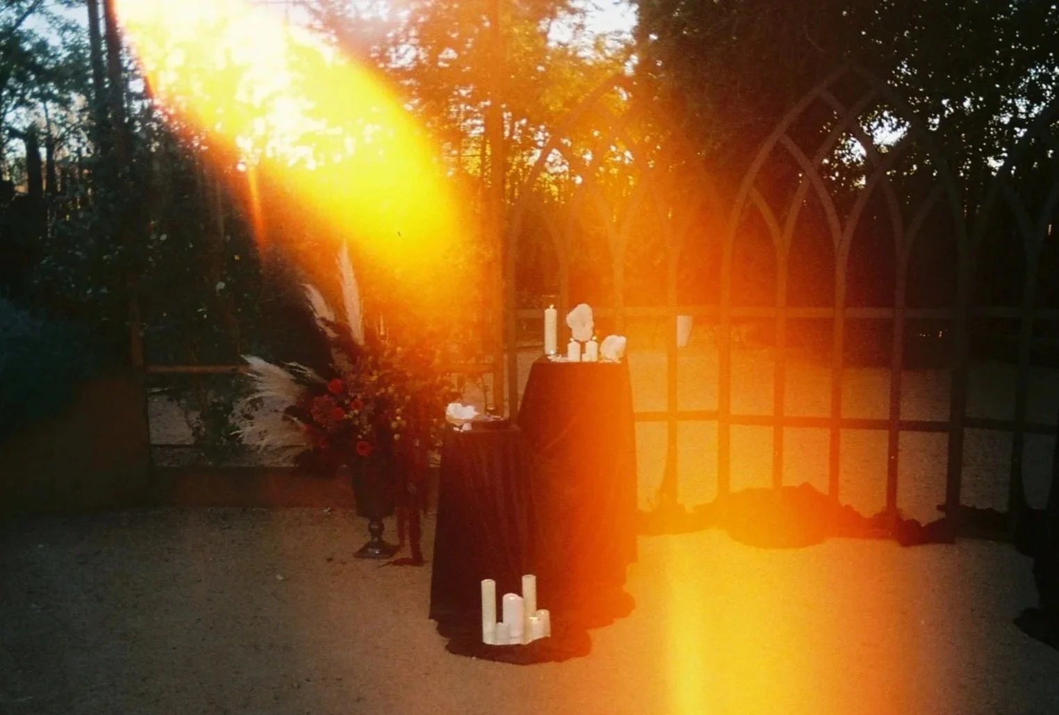 Memory or memorial setup with candles, flowers, and a bust, set outdoors with trees in the background and warm sunlight filtering through, possibly during sunset.