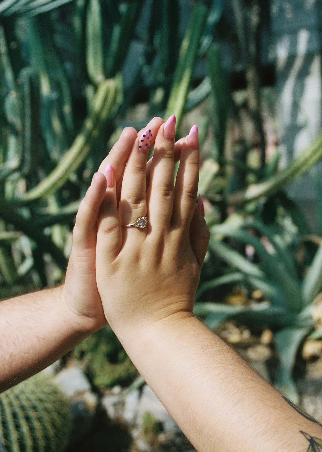 Close-up of two hands, one with a ring, touching in front of leafy green plants.