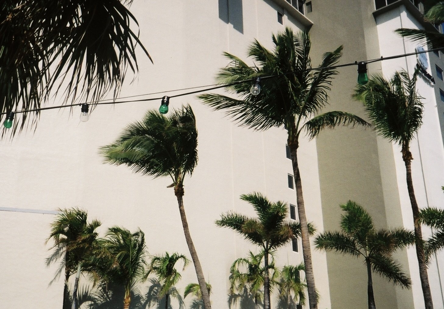 90CA406F-01E3-4566-89F5-3C92E09A1D75_1_201_a.jpeg