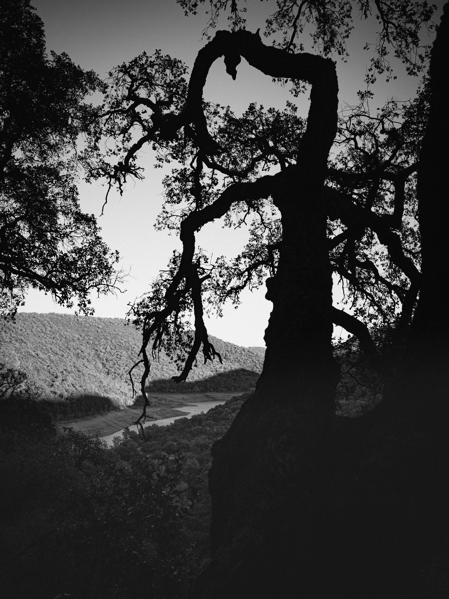 B0037598.jpg