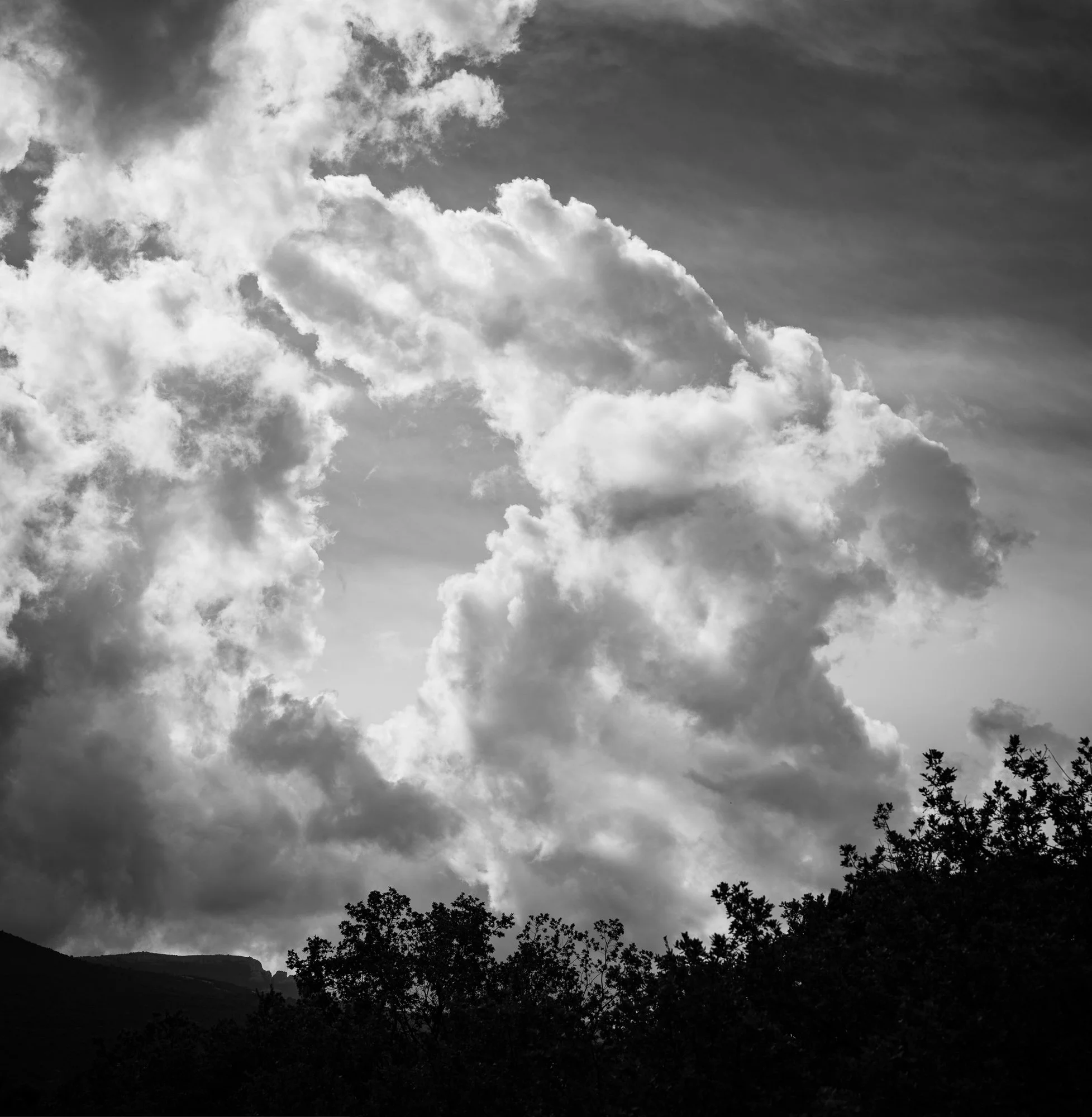 B0037371-Pano.jpg