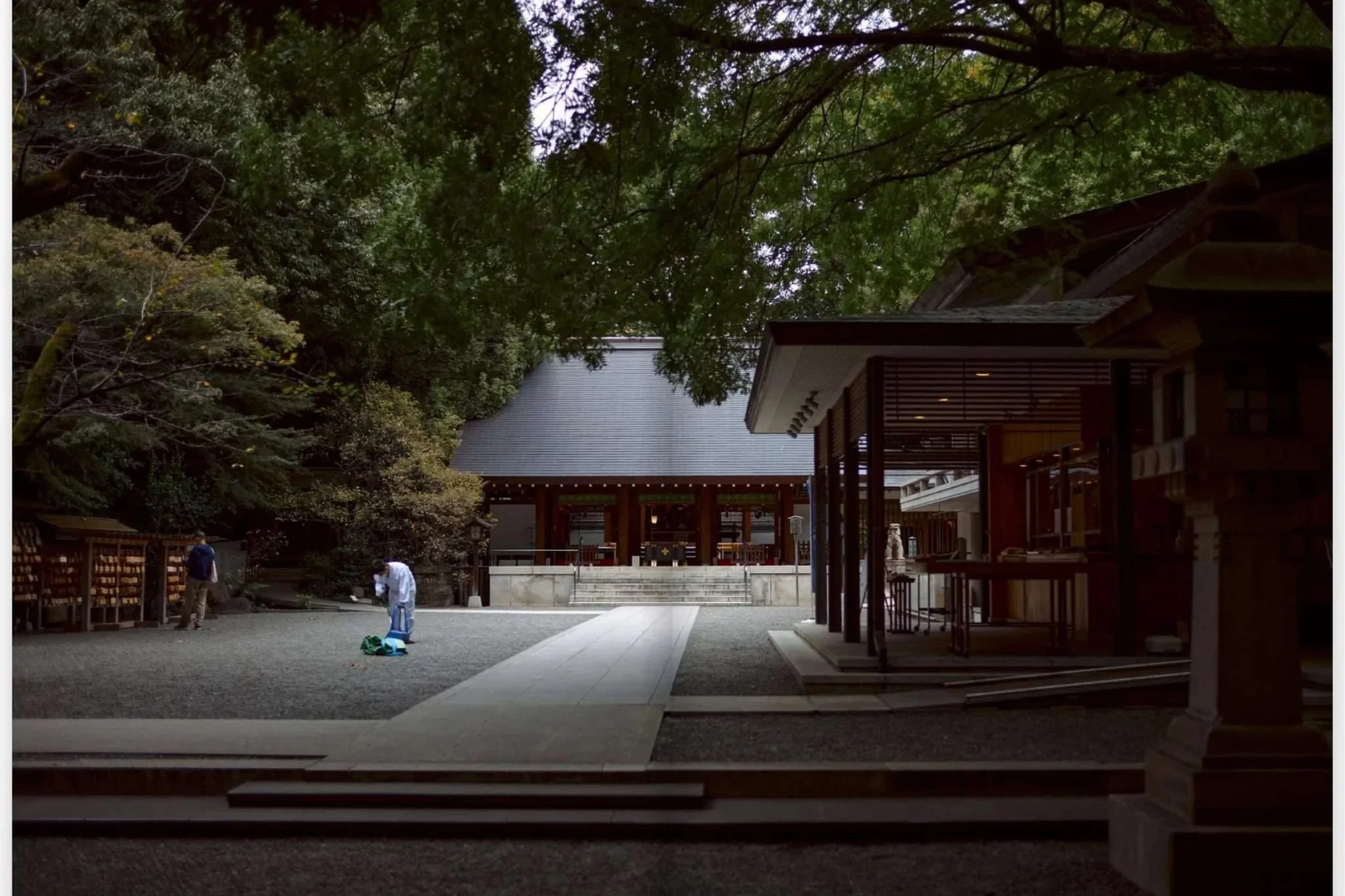 #1430. Japan Stories