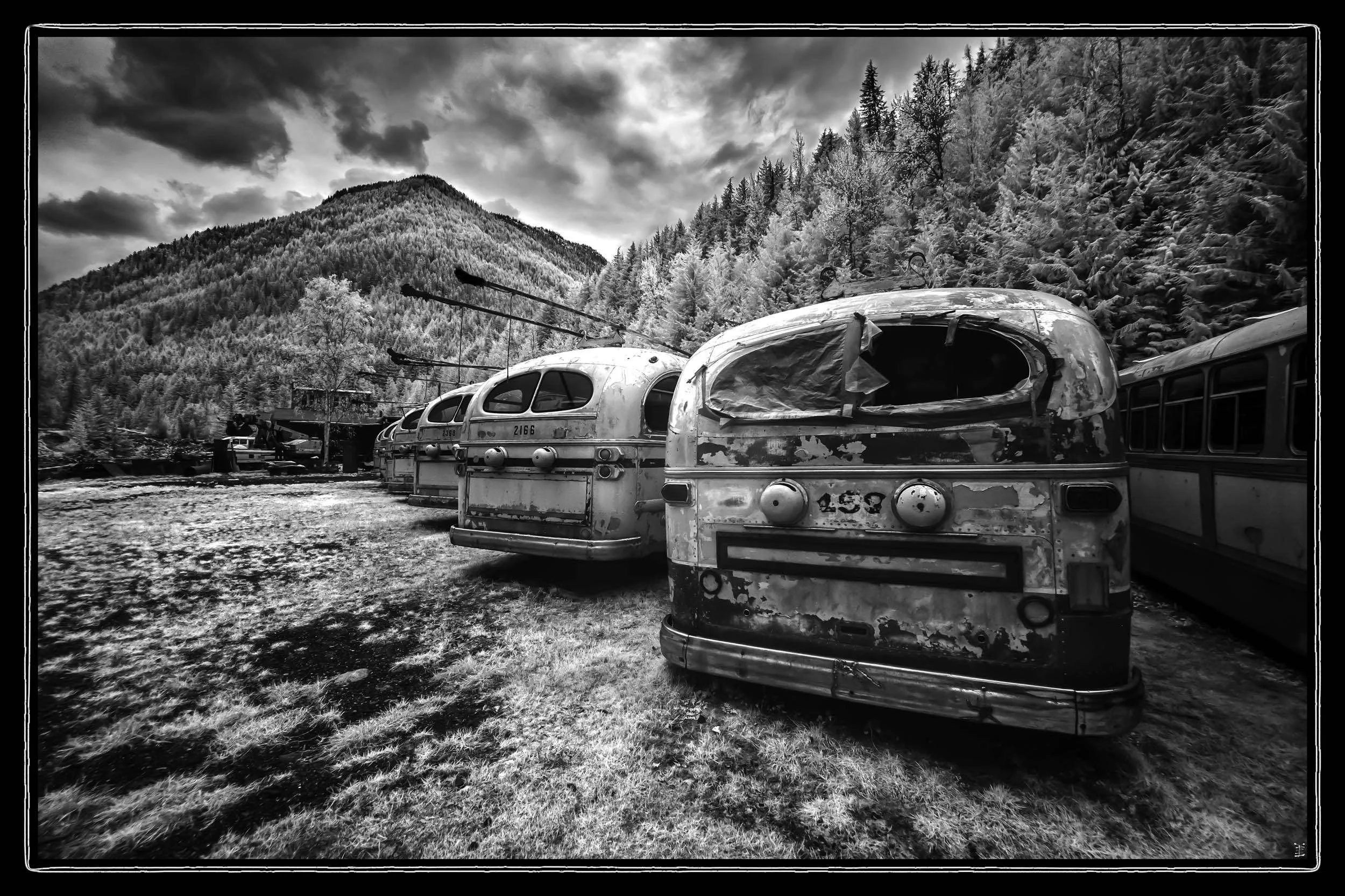 #1217. Backyard Gems: On the Road Again (Finally)!