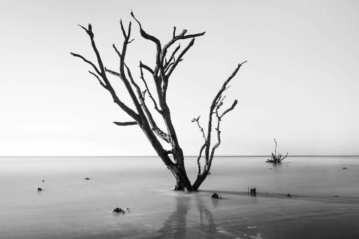 #1047. On Sharing Visions of Beauty and Horror