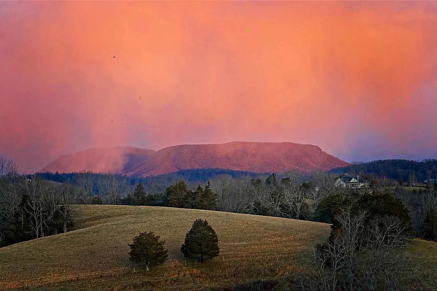 #1348. Lost Acres