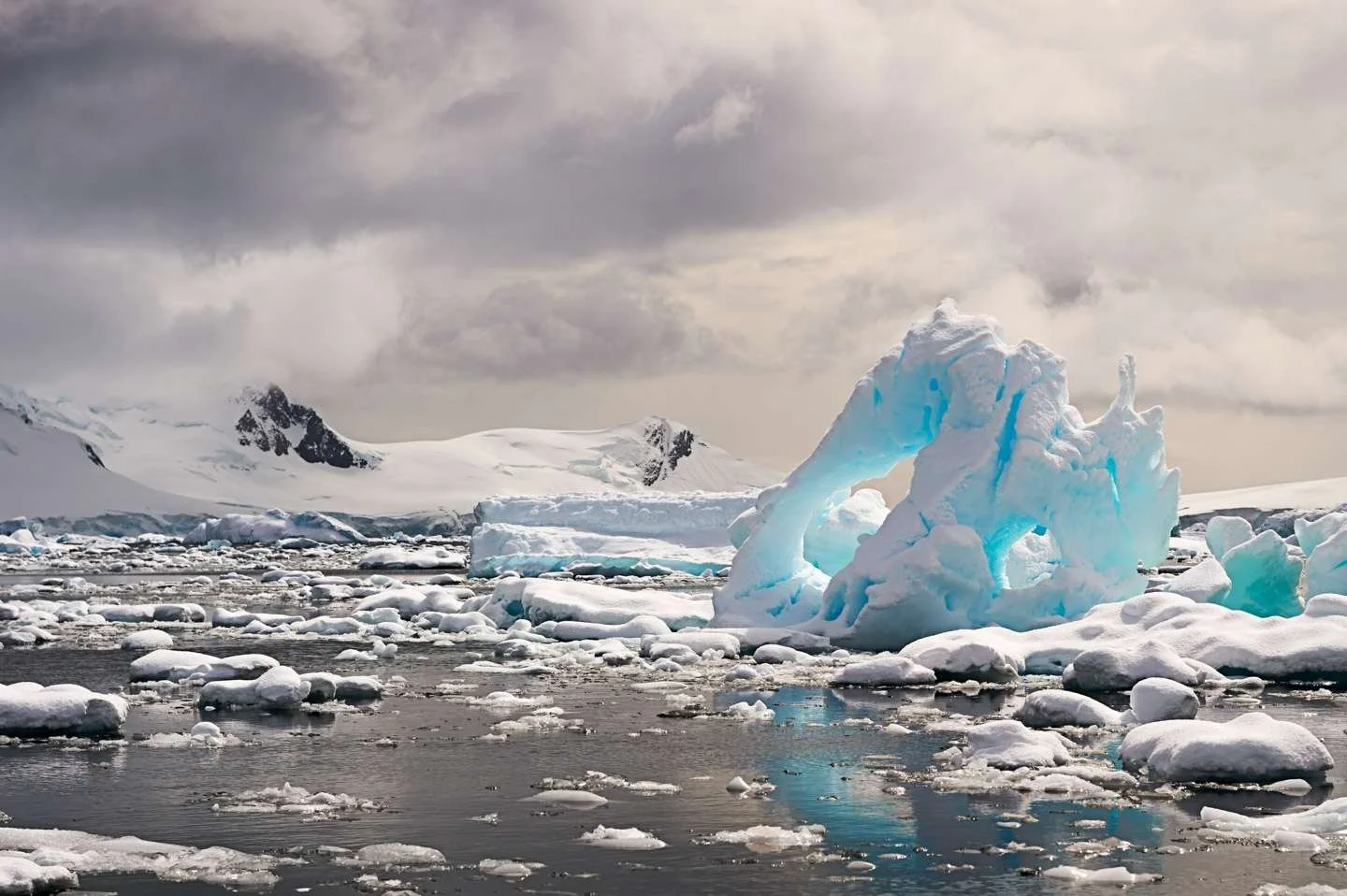 #688. Photographing Antarctica