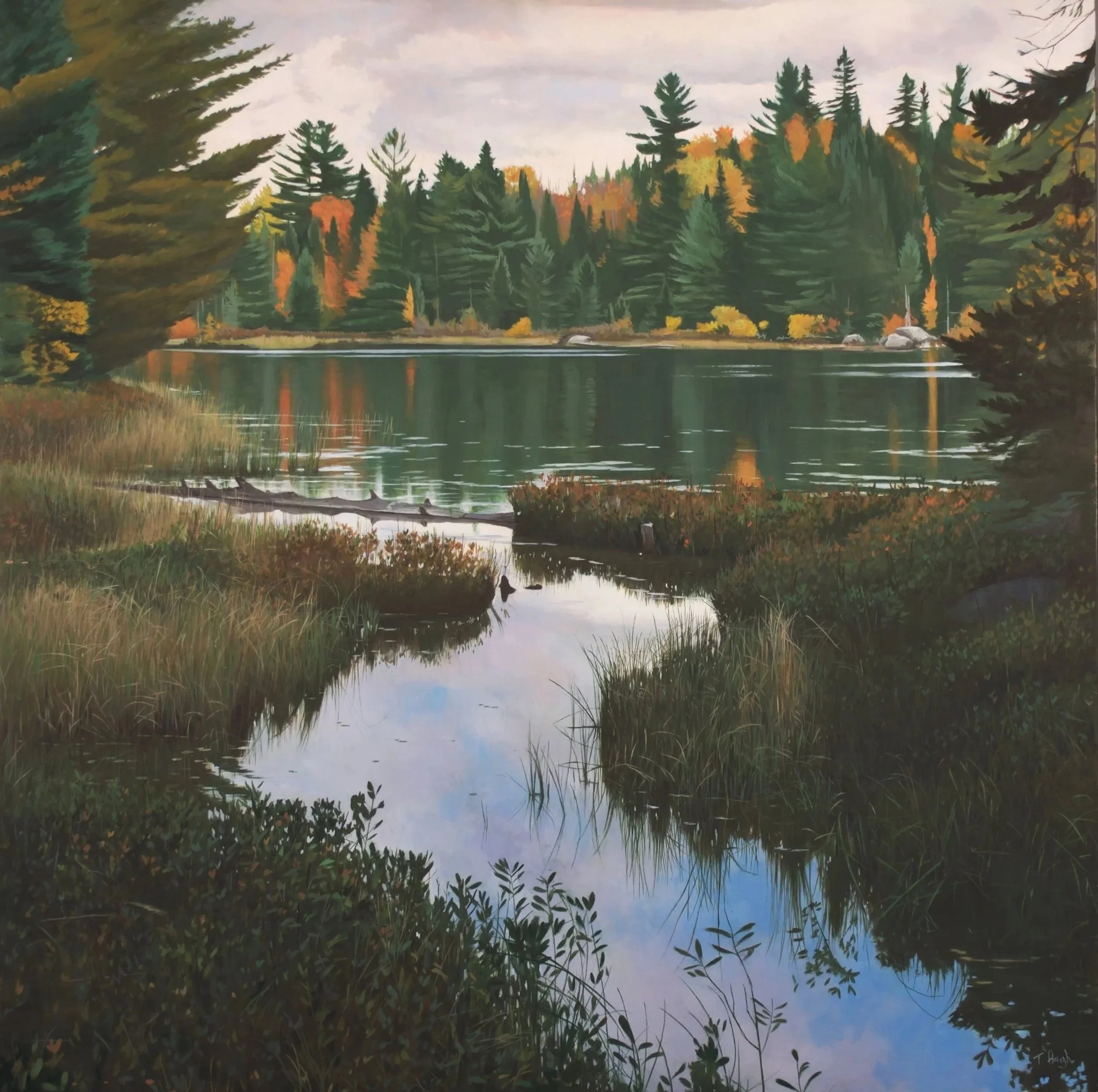 Untitled, oil on wood panel, 36" X 36"