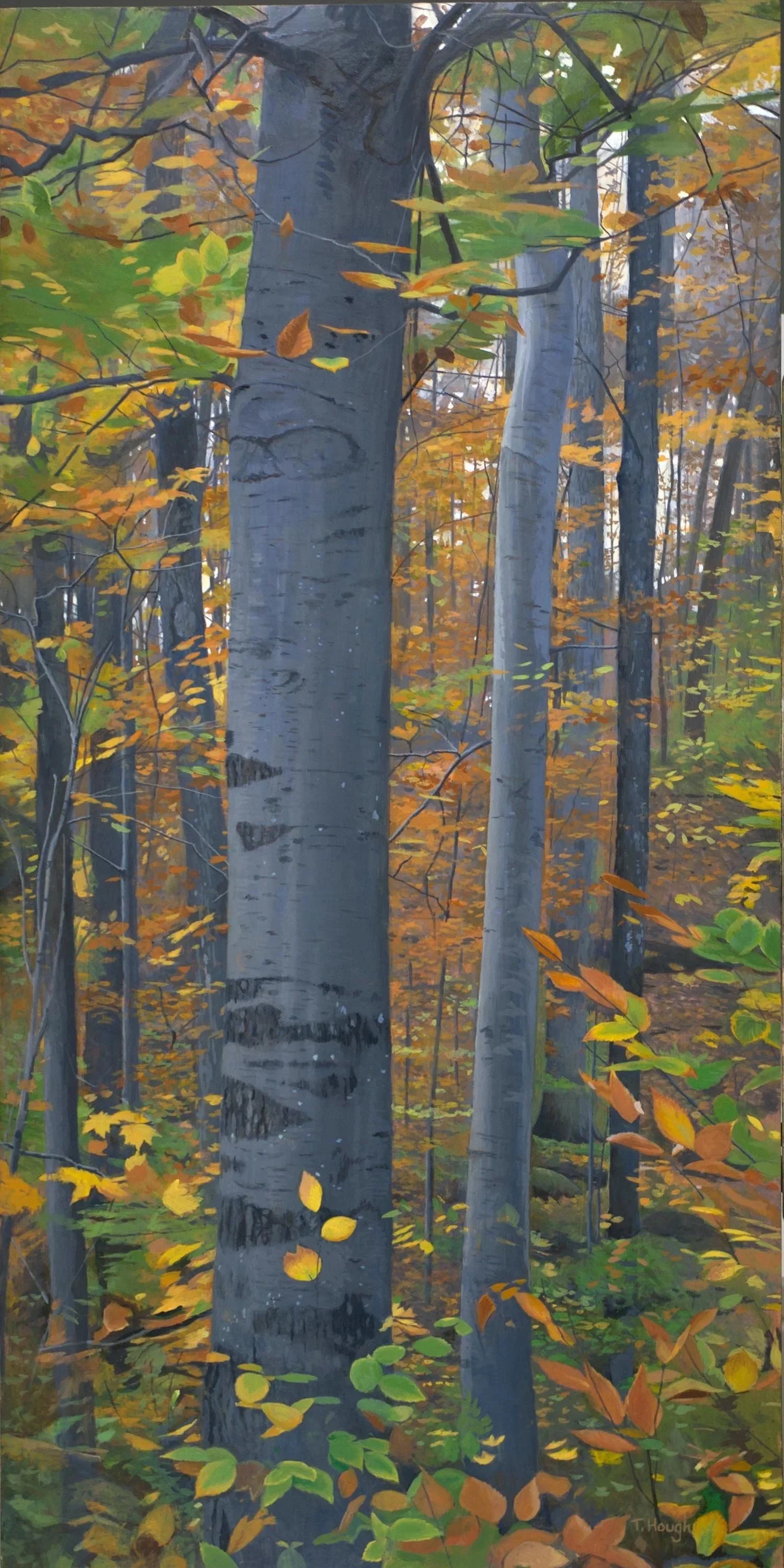 Autumn Beech Forest, oil on panel 20" X 40"