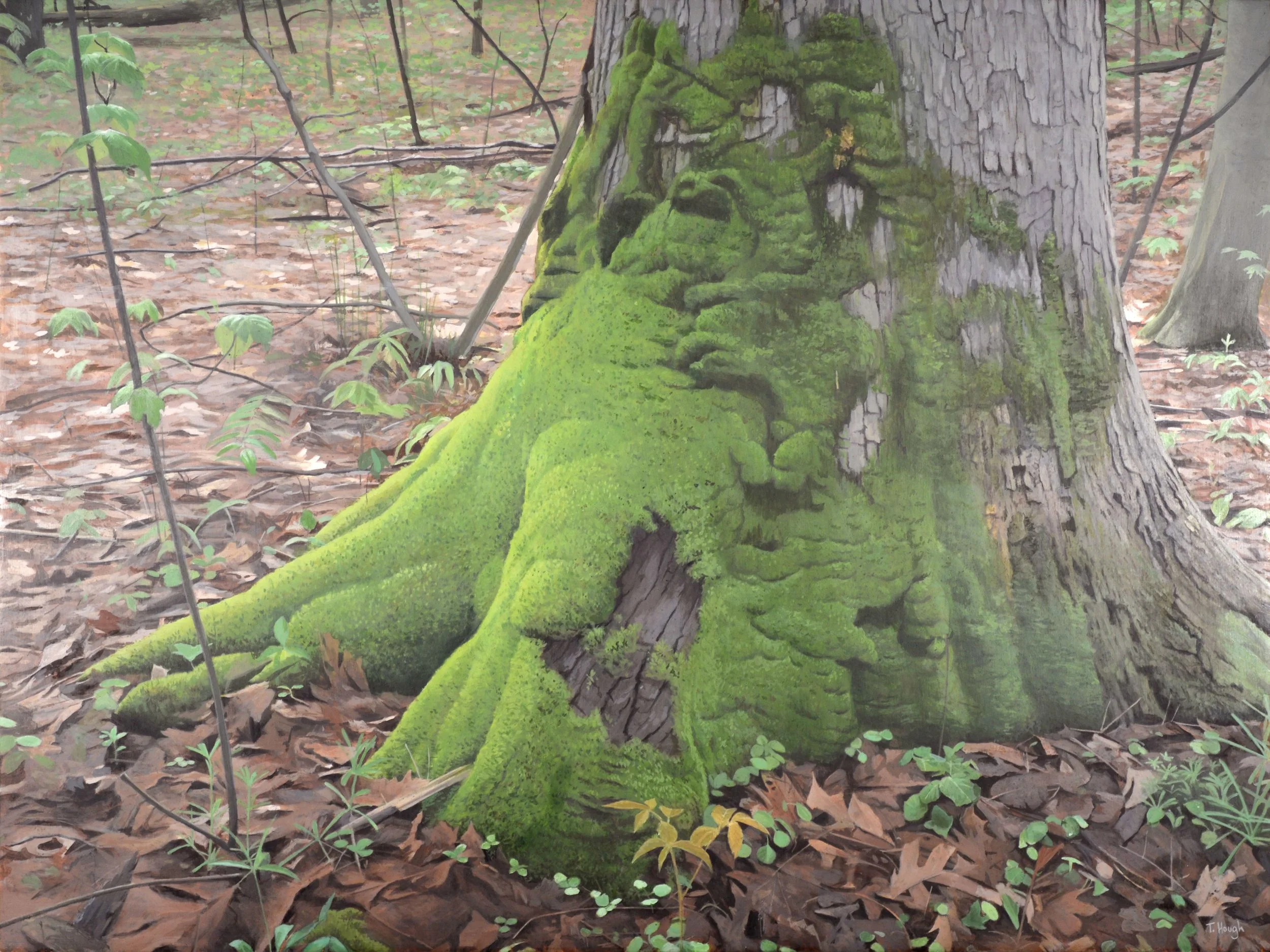 The Forest Floor, oil on panel, 30" X 40"