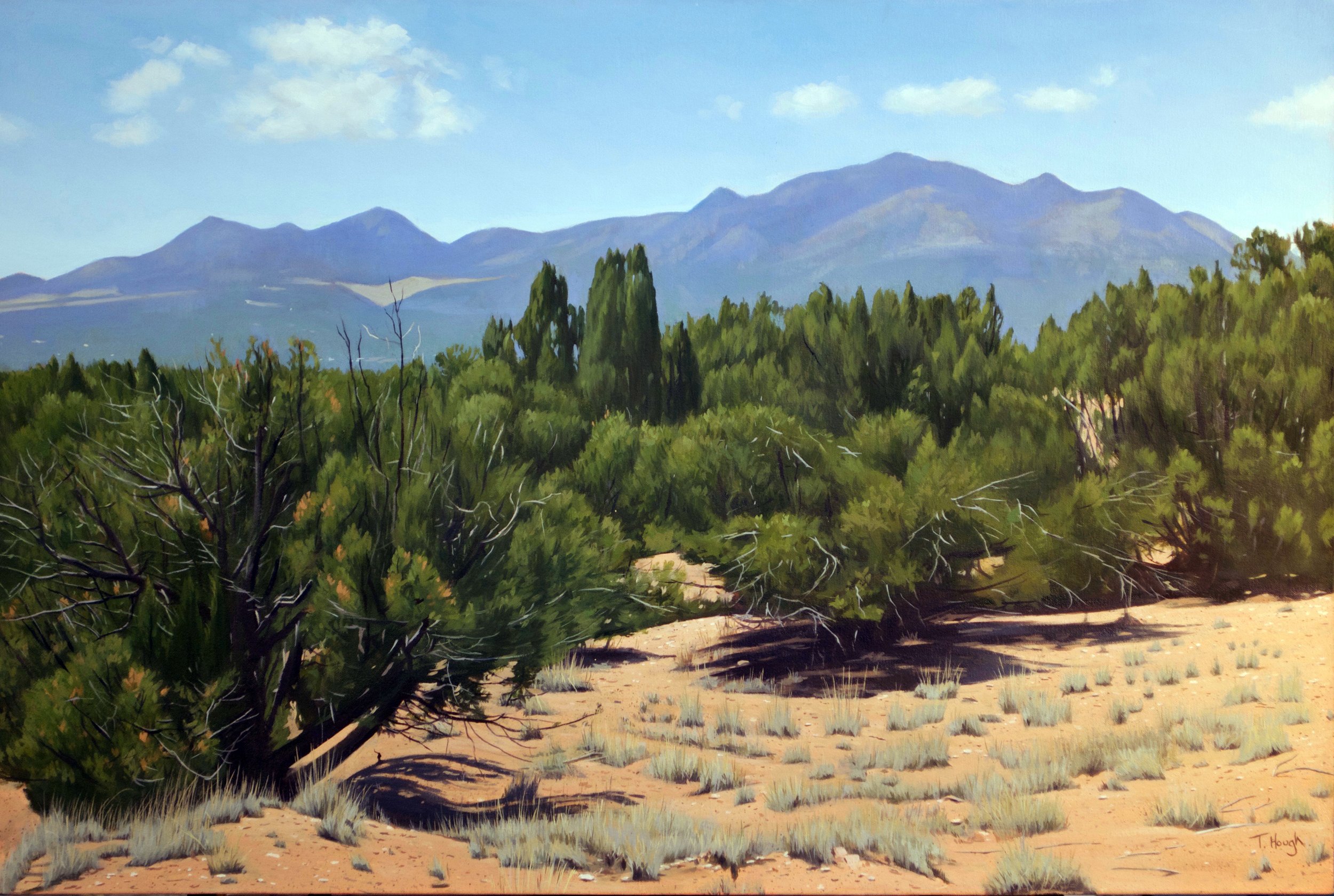 The High Desert, NM, oil on canvas, 24" X 36"