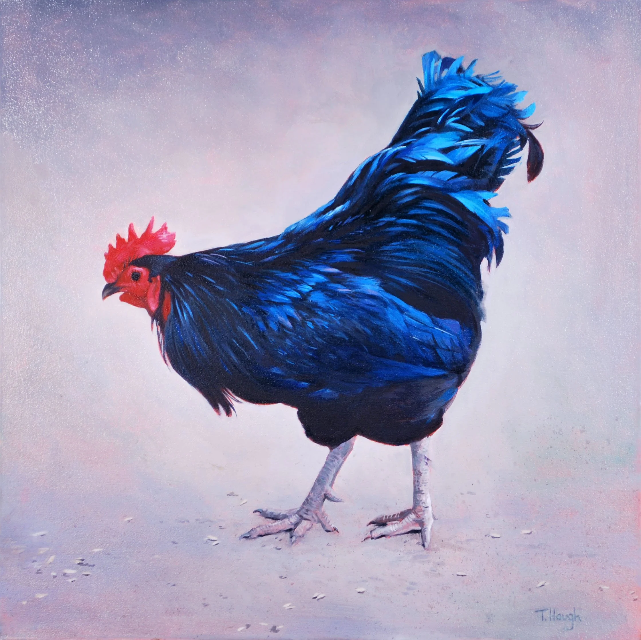 Pollo Loco, oil on canvas, 18" X 18" Sold