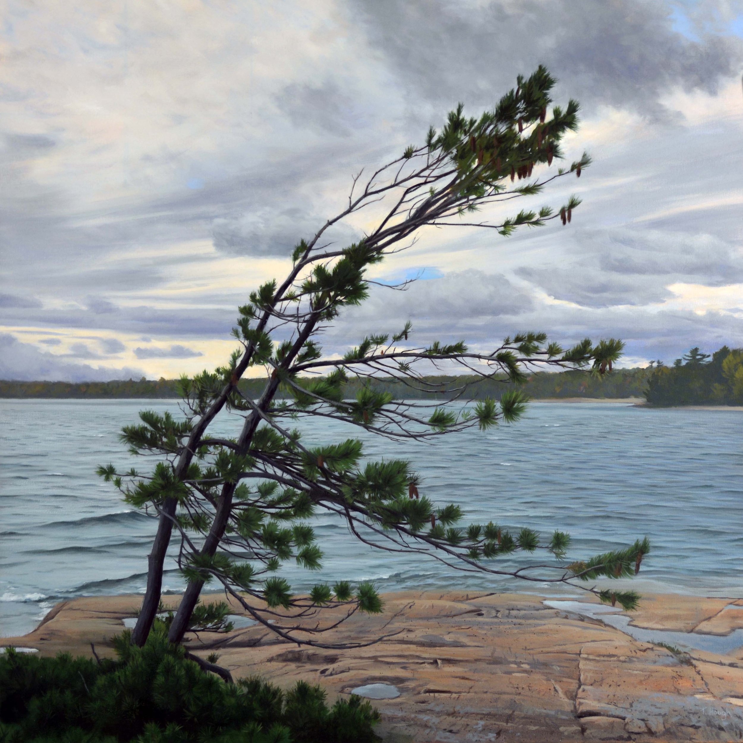 October Skies, oil on canvas, 36: X 36" Sold