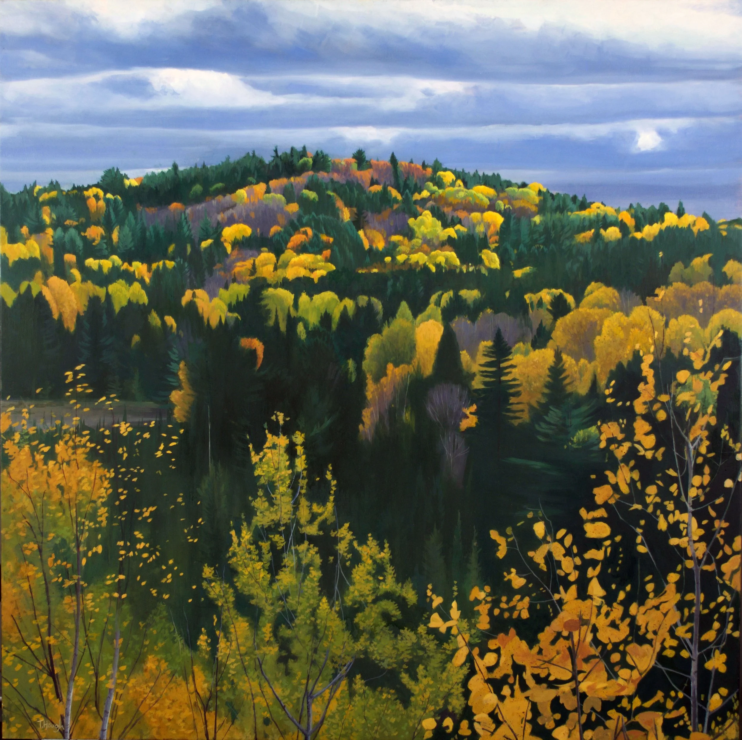 Algonquin, oil on panel, 36" X 36"