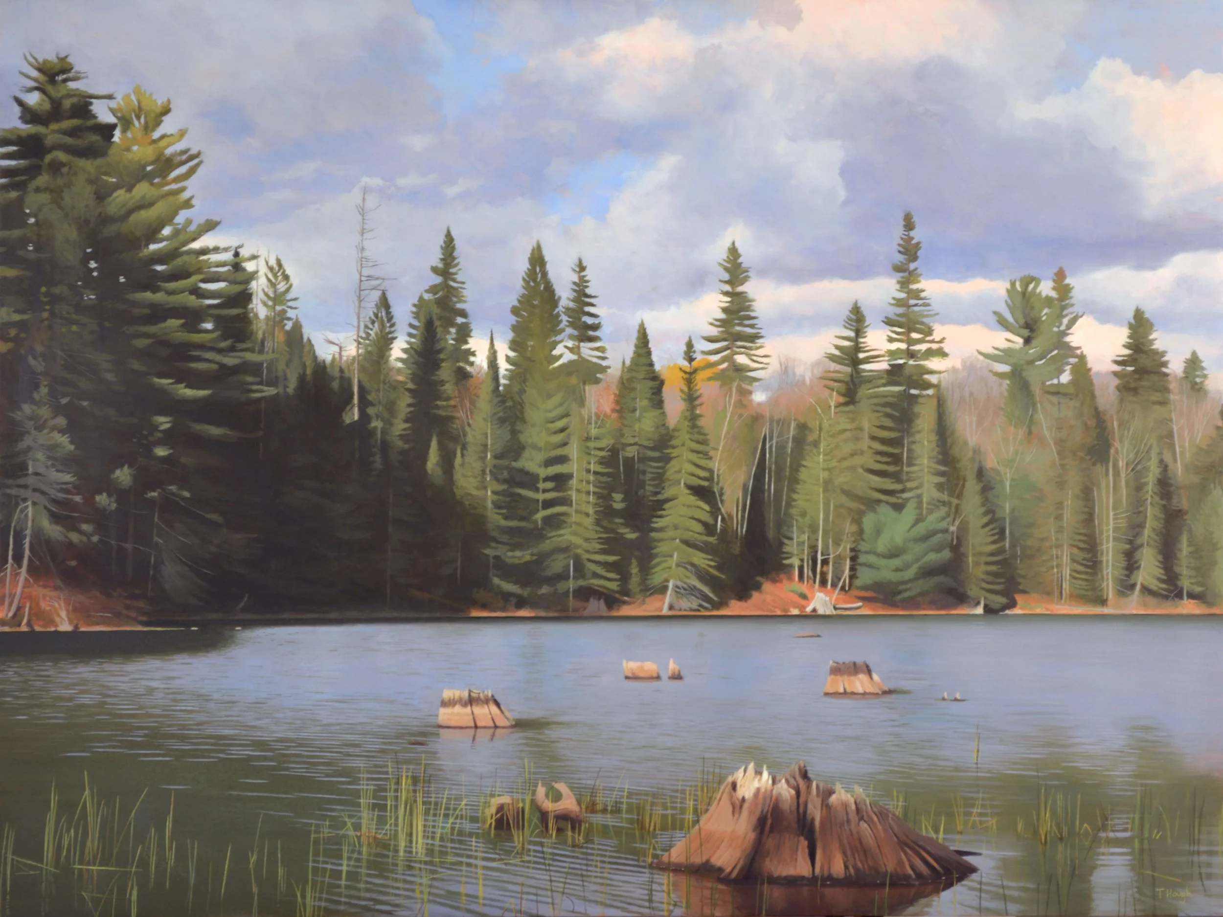 A painting of a forested lakeside scene with pine trees, a calm lake with partially submerged logs and stumps, and a cloudy sky above.