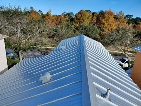 View from the roof showing the metal roofing sheets, vent pipe, and surrounding trees with autumn foliage.