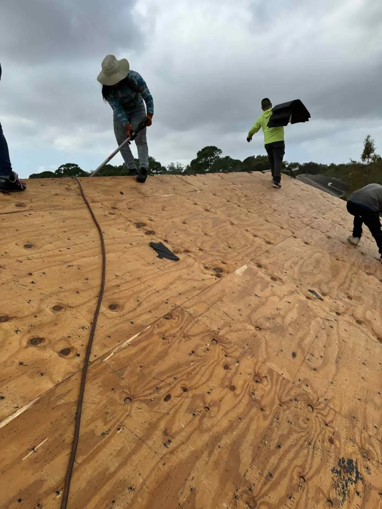 Two workers installing plywood roof sheathing on a building during overcast weather. One is using a power tool, while the other walks away carrying materials.