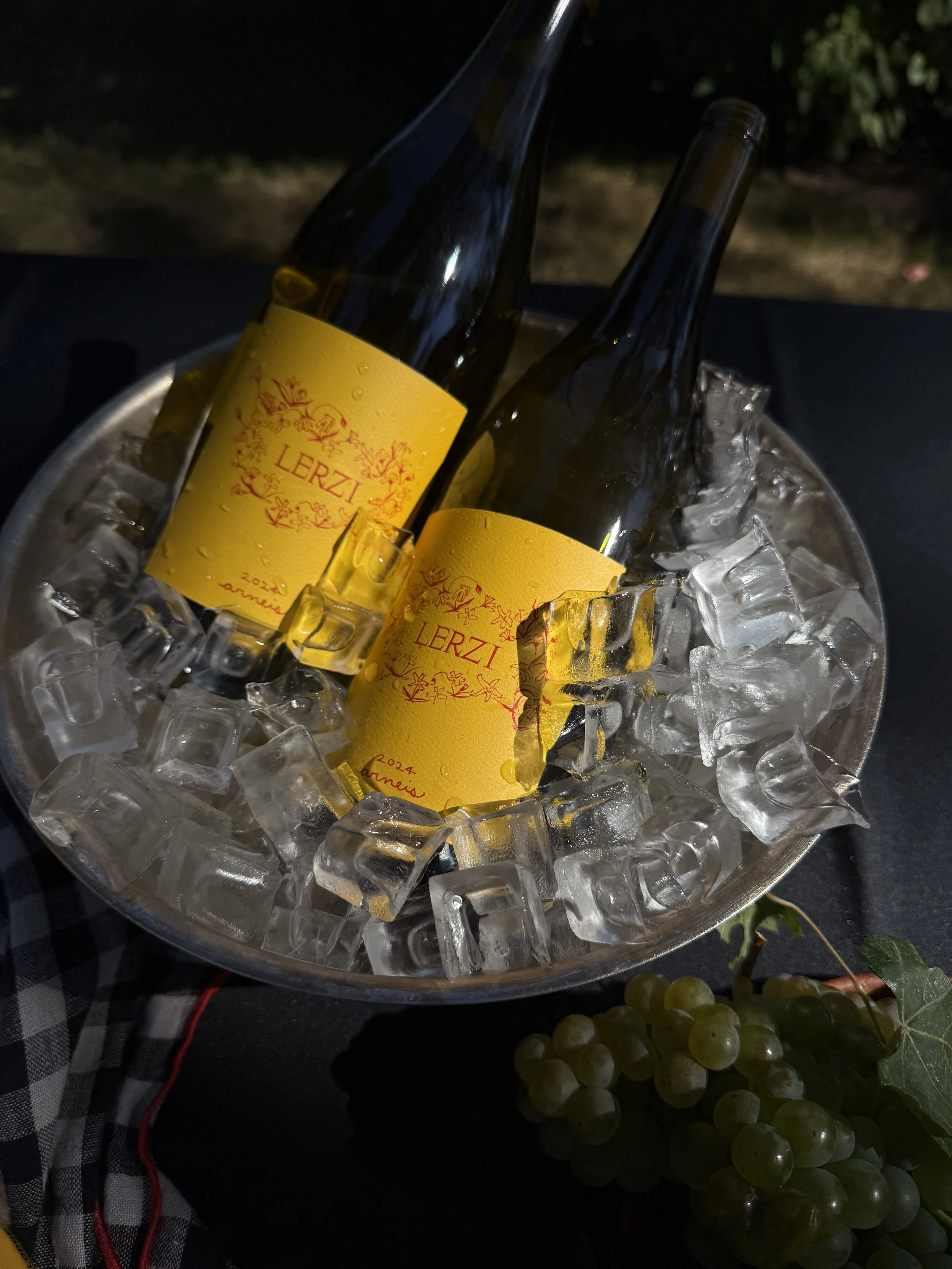 branding, graphic design, web, packaging