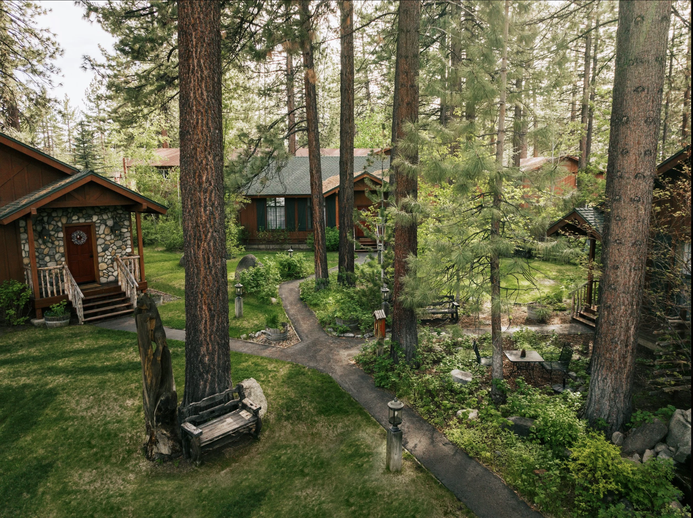 Spring wellness retreat in Lake Tahoe surrounded by pine trees and mountains at Black Bear Lodge