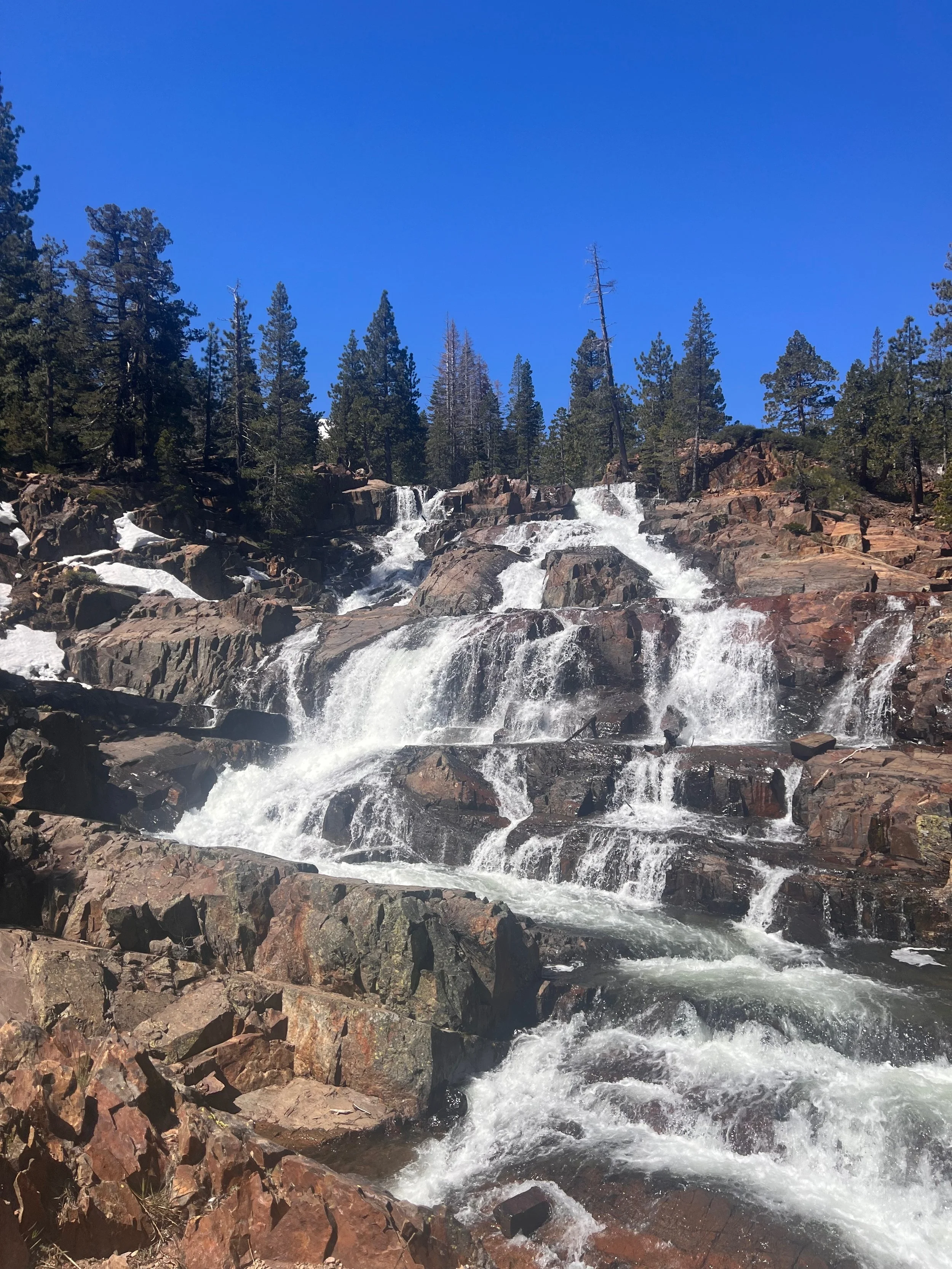 Guided nature immersion hike during a spring retreat in Lake Tahoe