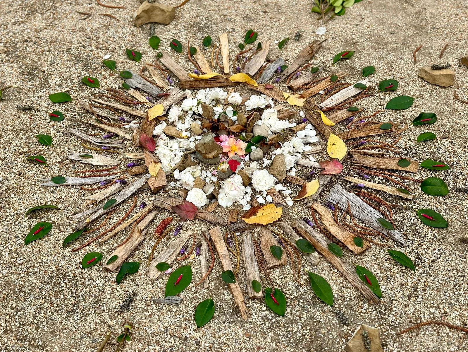 Spring wellness retreat in Lake Tahoe surrounded by pine trees and mountains