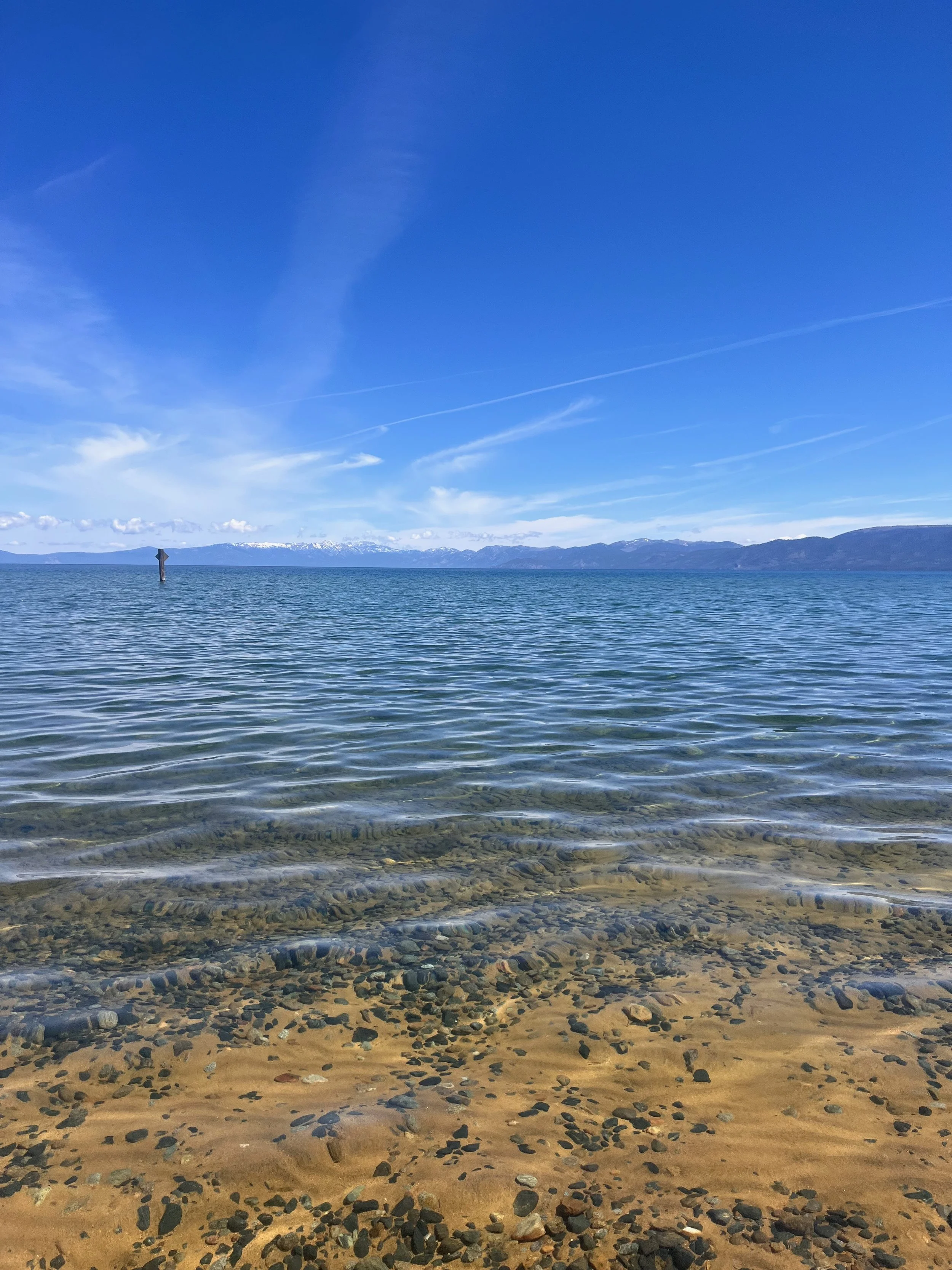 Spring wellness retreat in Lake Tahoe surrounded by pine trees and mountains