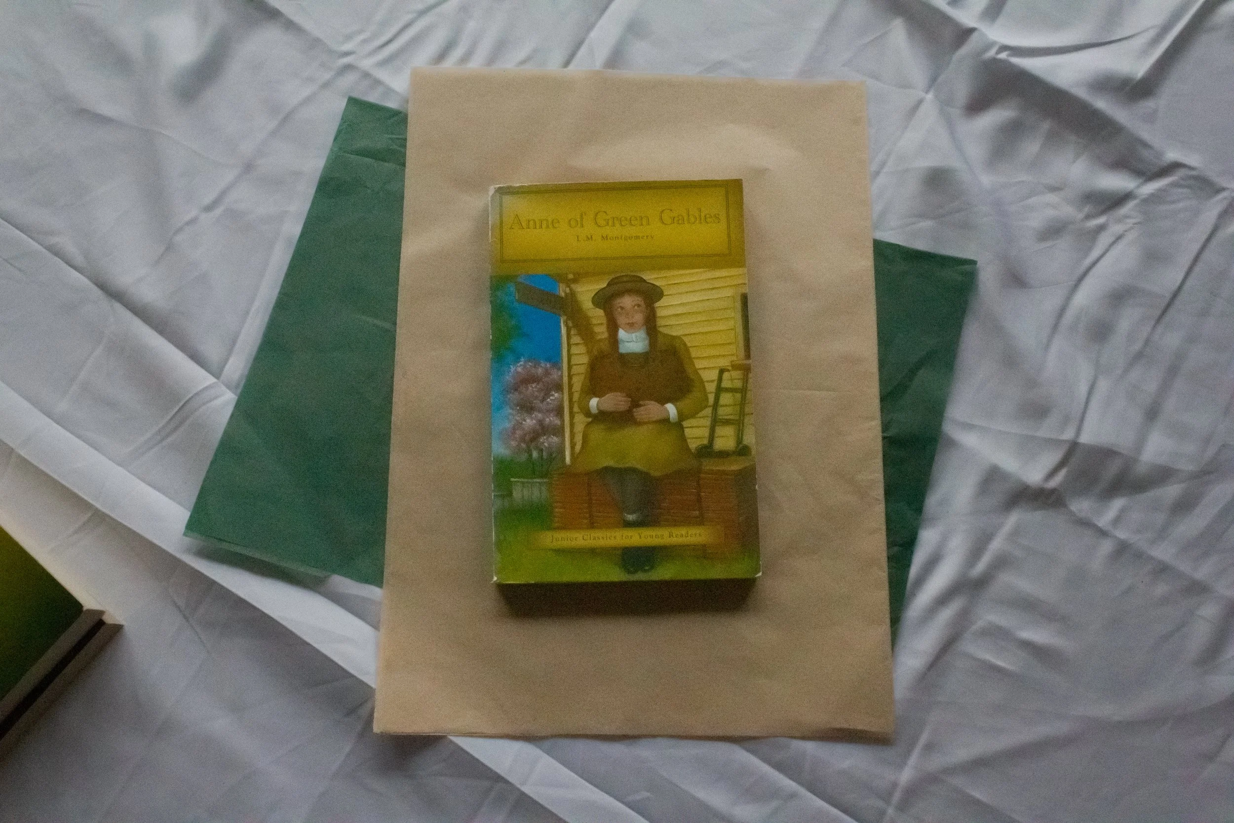 Preloved Book - Anne of Green Gables
