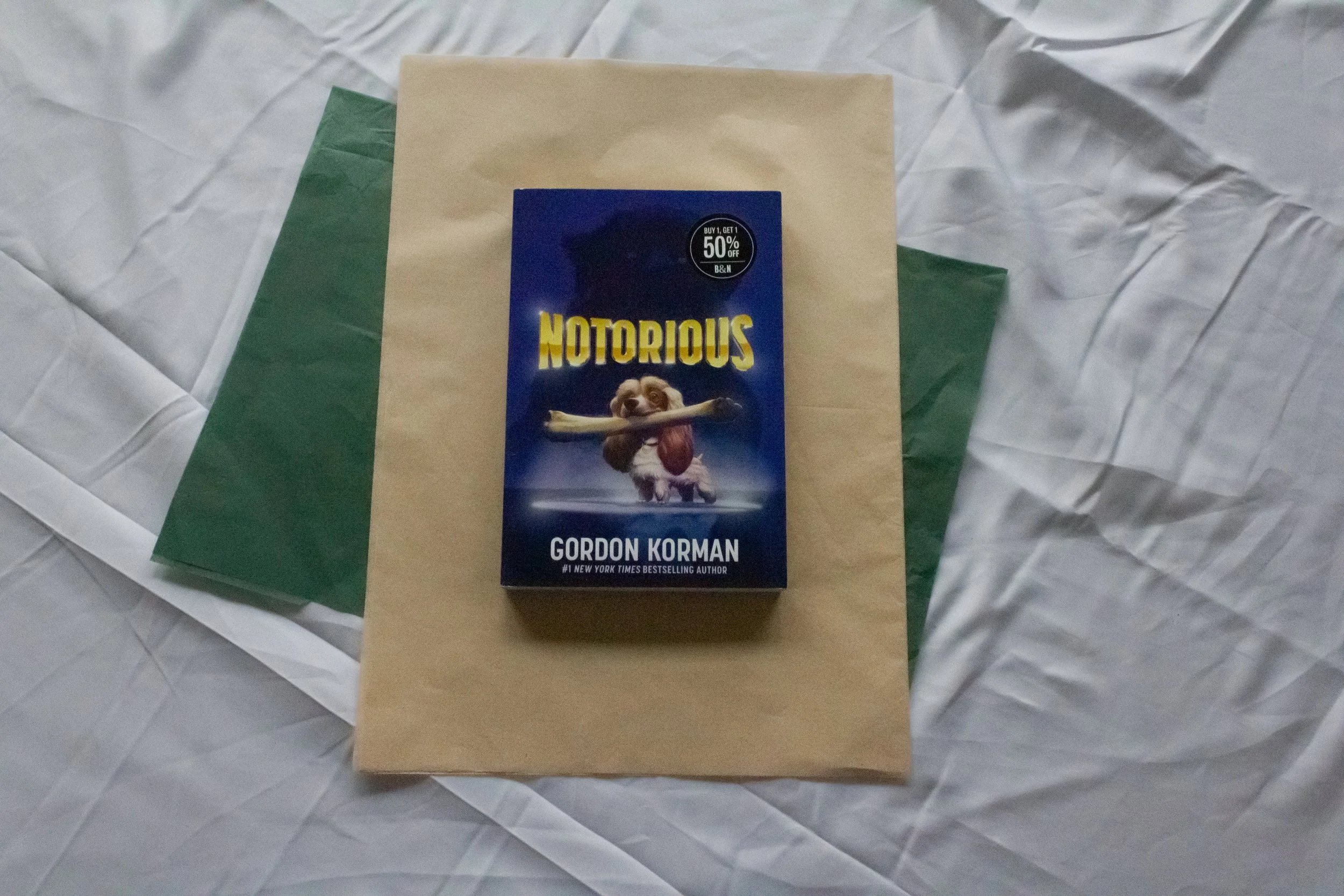 Preloved Book - Notorious