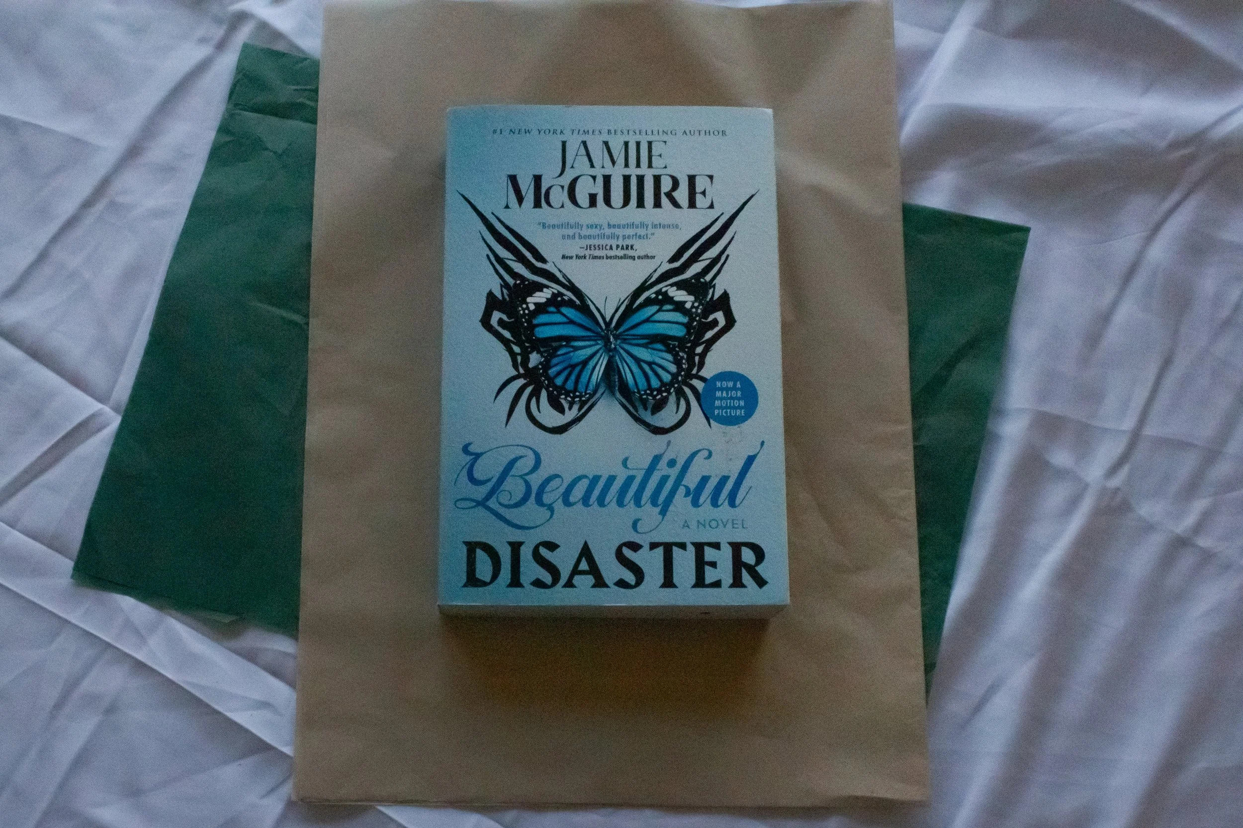 Preloved Book - Beautiful Disaster