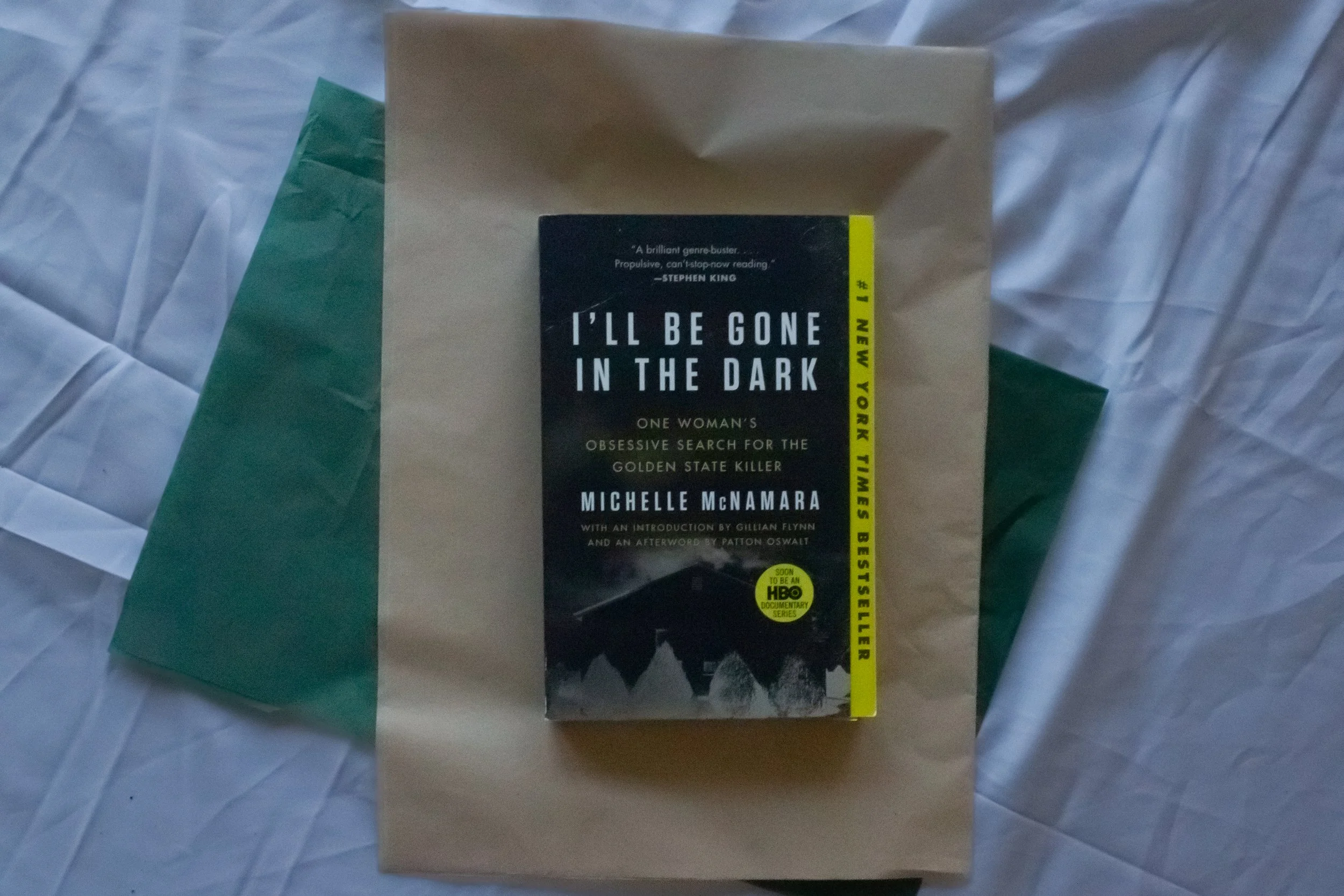 Preloved Book - I'll be Gone in the Dark