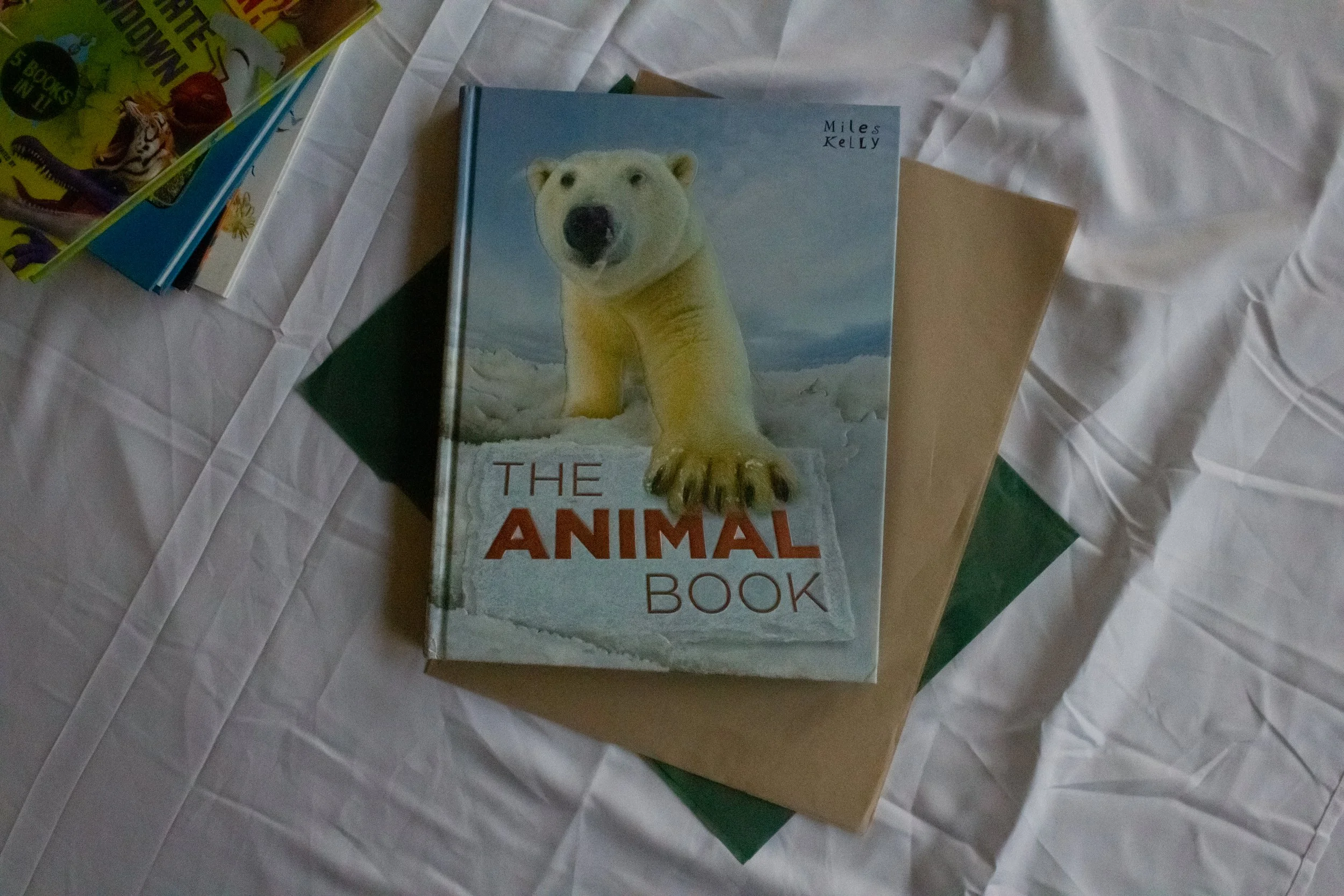 UsedBooksInventory-73.jpg