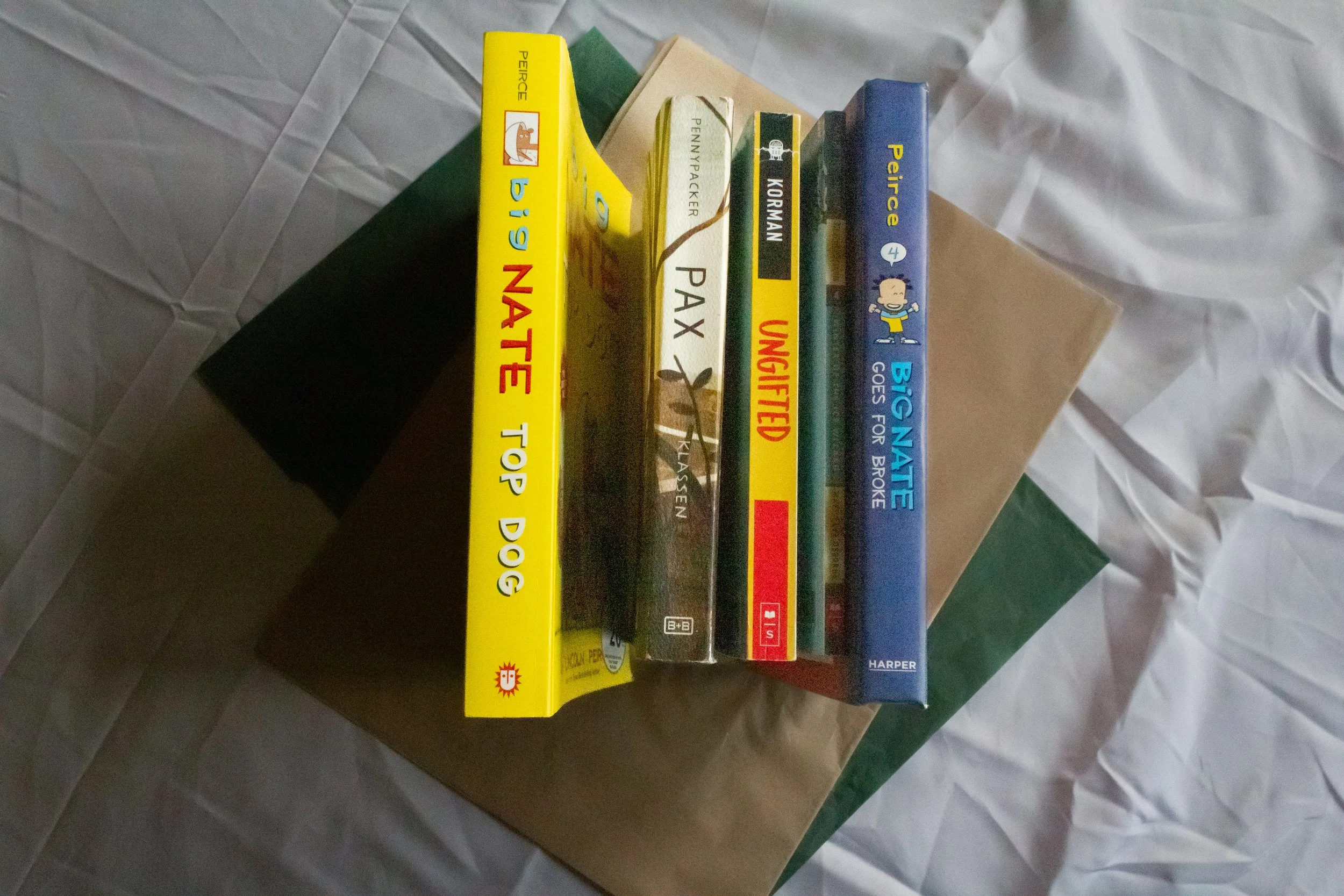 Preloved Books Bundle - Middle Grade Adventure - Brave and Bold Edition