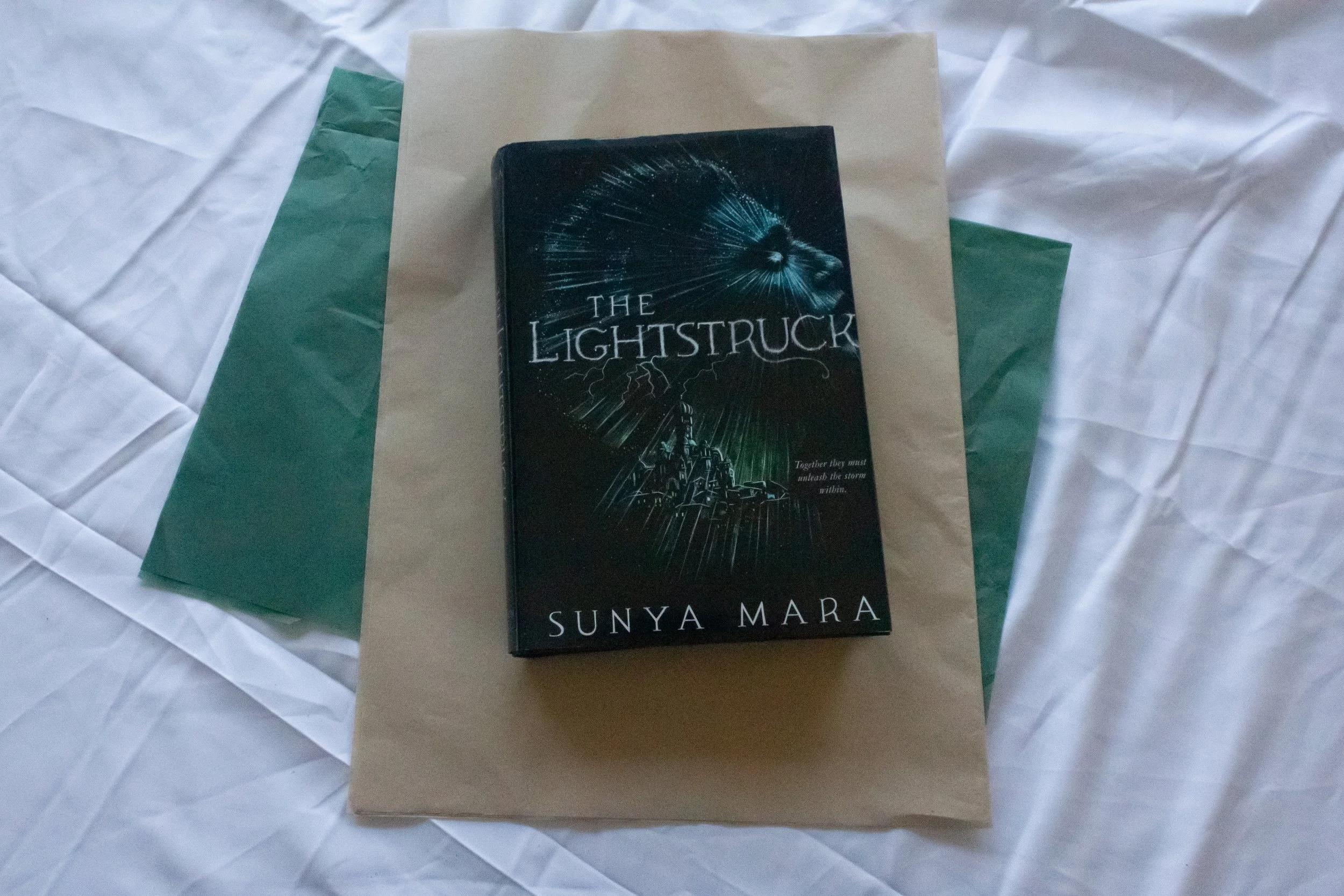 Preloved Book - The Lightstruck