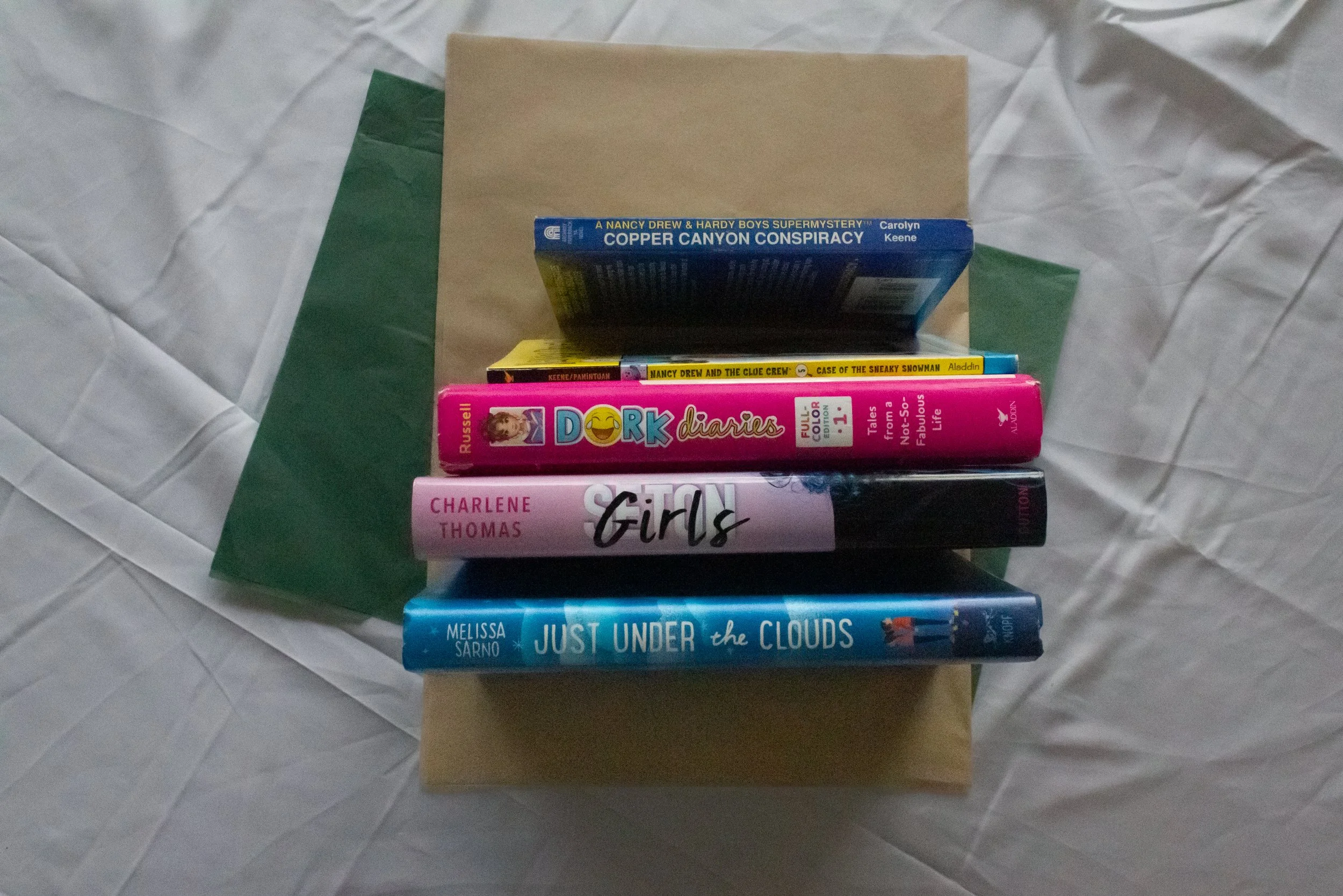 Preloved Books Bundle - Preteen Chapter Books