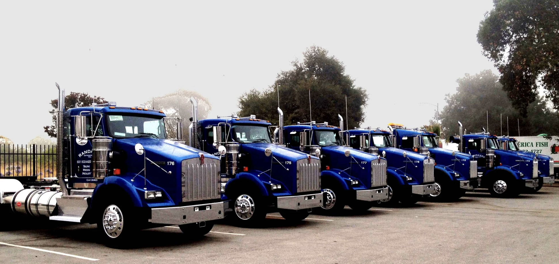 Six large blue semi-trucks with chrome accents and tall exhaust pipes parked in a row at a parking lot, with trees and a fence in the background. Randazzo Enterprises truck fleet.