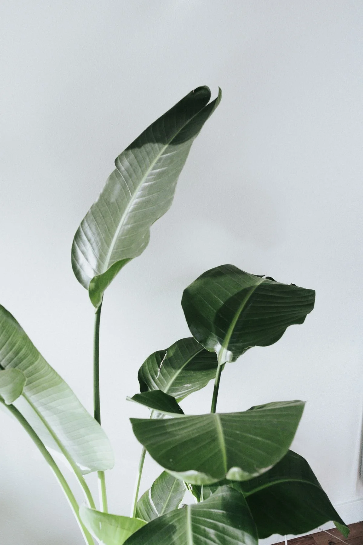 How Yoga Can Support Your Beauty &amp; Wellness Routine