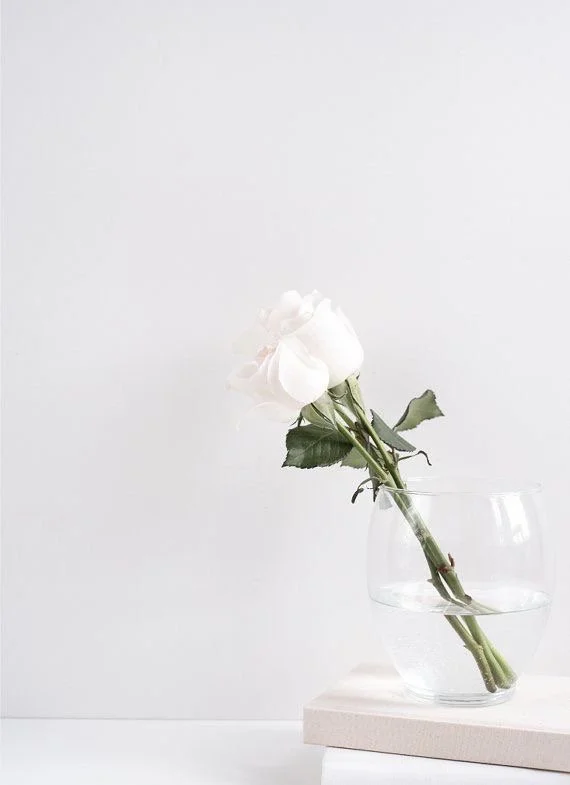 Lash Extensions 101 — Your Complete Guide to Effortless Beauty